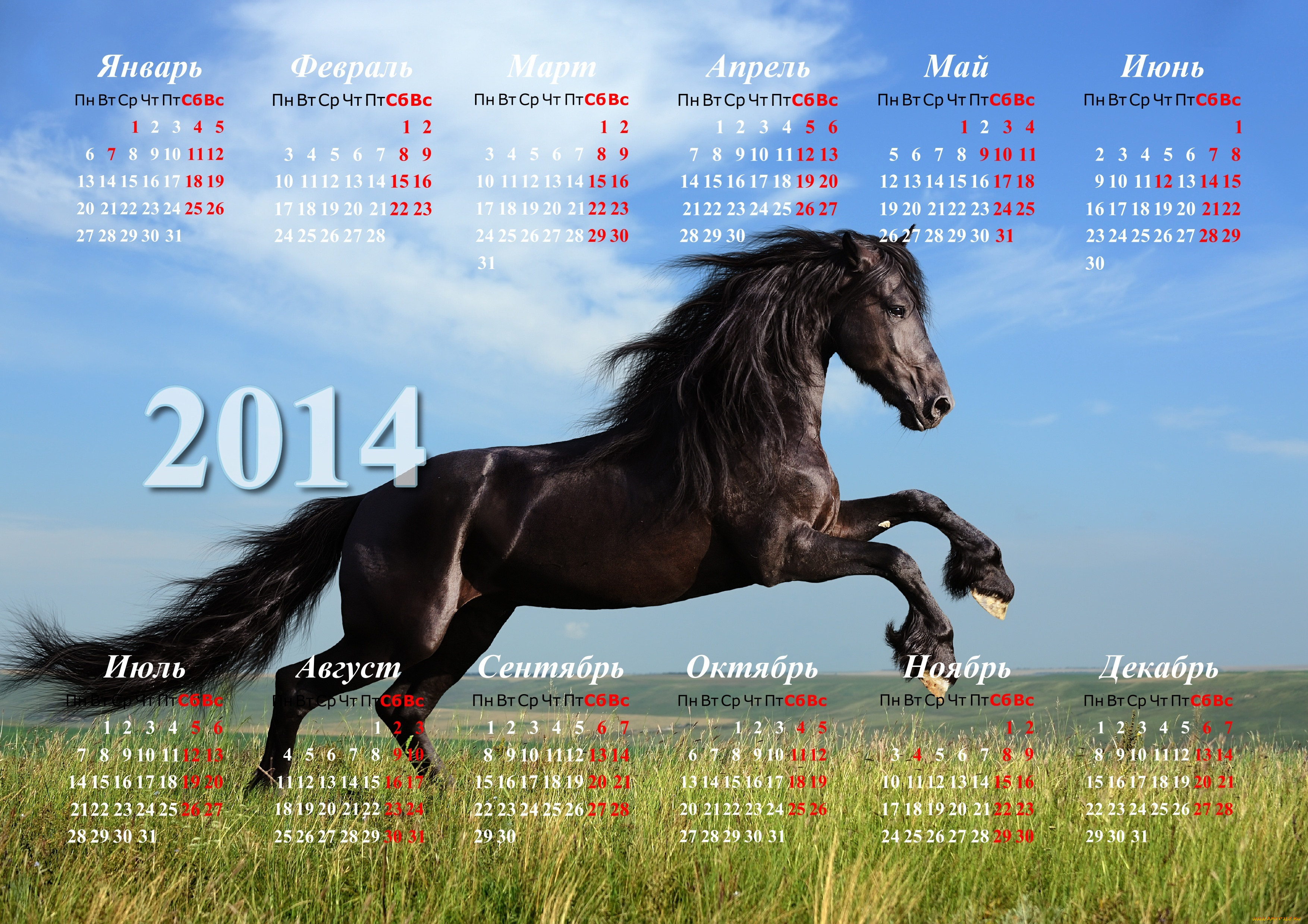 календари, животные, кони