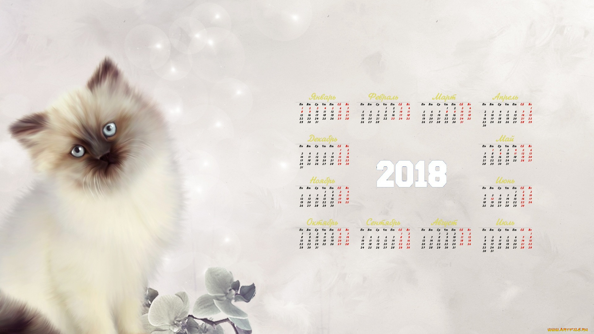 календари, рисованные, , векторная, графика, взгляд, цветок, 2018, кошка