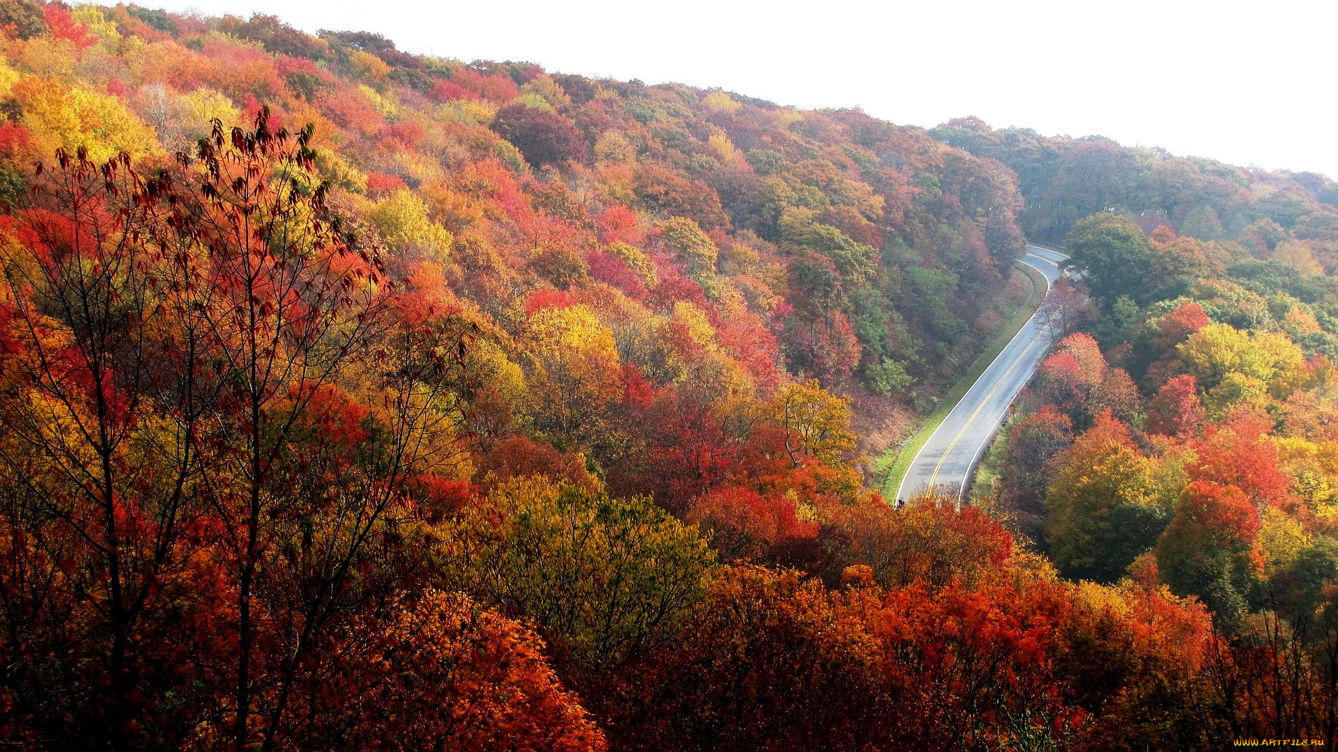природа, дороги, осень, деревья, шоссе