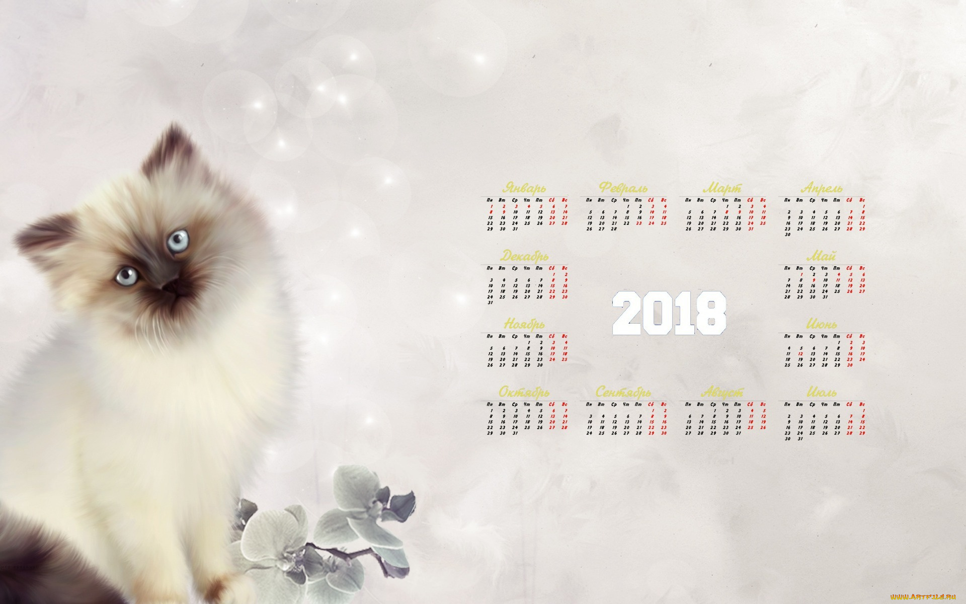 календари, рисованные, , векторная, графика, взгляд, цветок, 2018, кошка