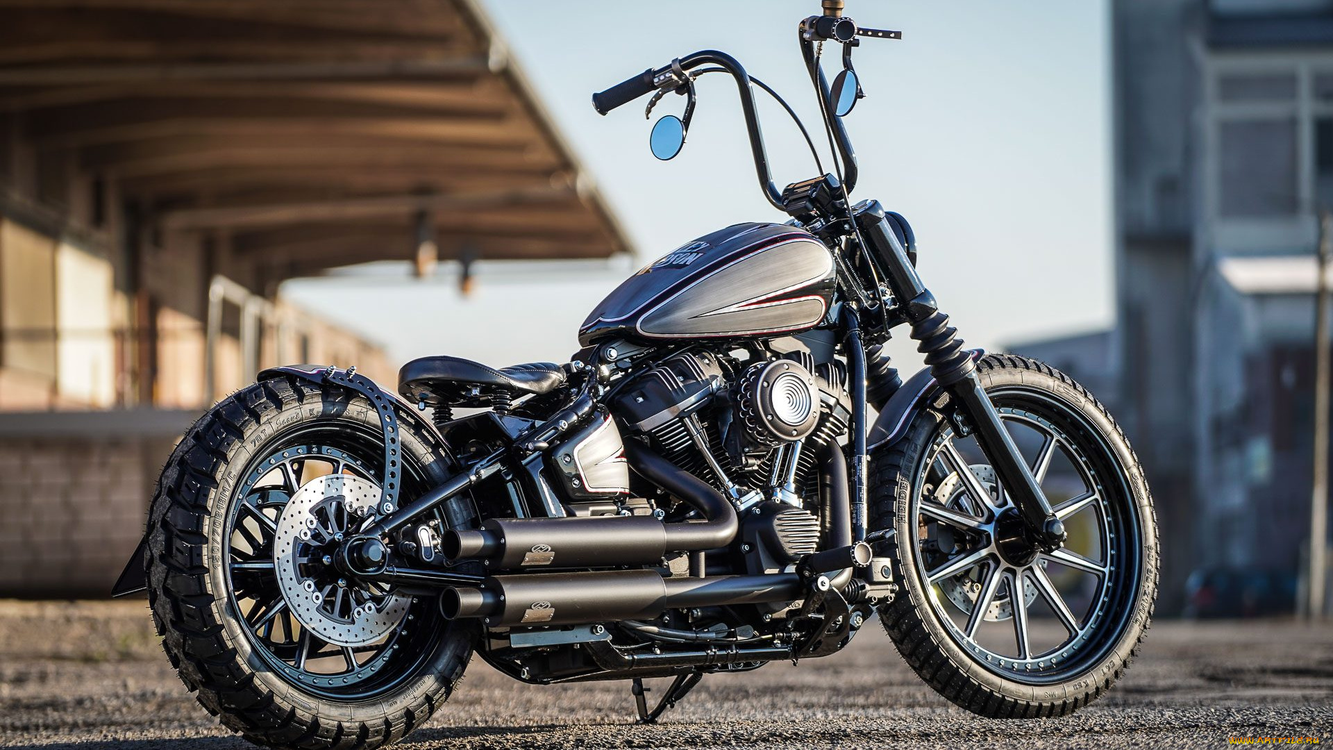 harley, мотоциклы, harley-davidson, мотоцикл, байк, custom, thunderbike