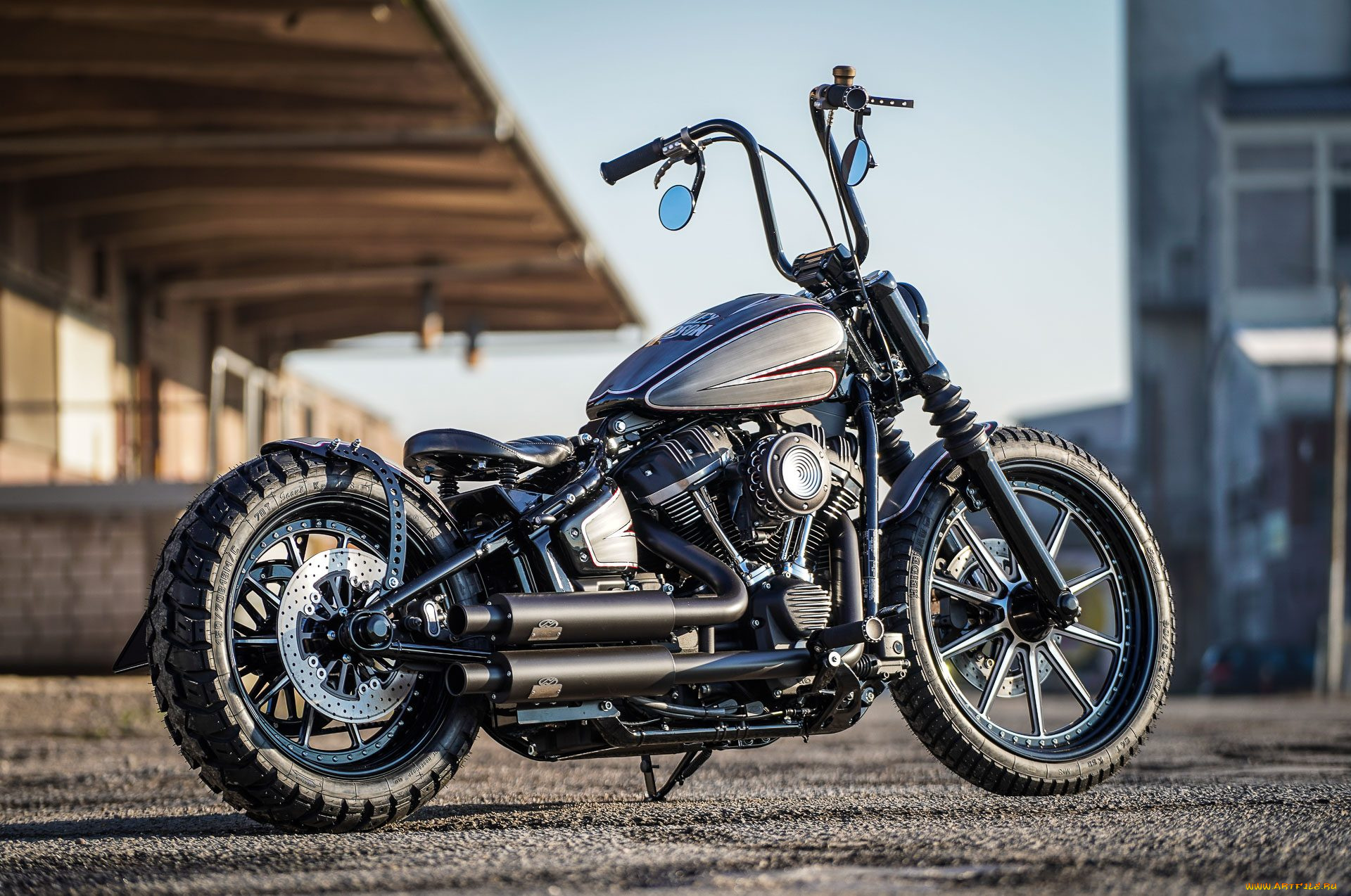 harley, мотоциклы, harley-davidson, мотоцикл, байк, custom, thunderbike