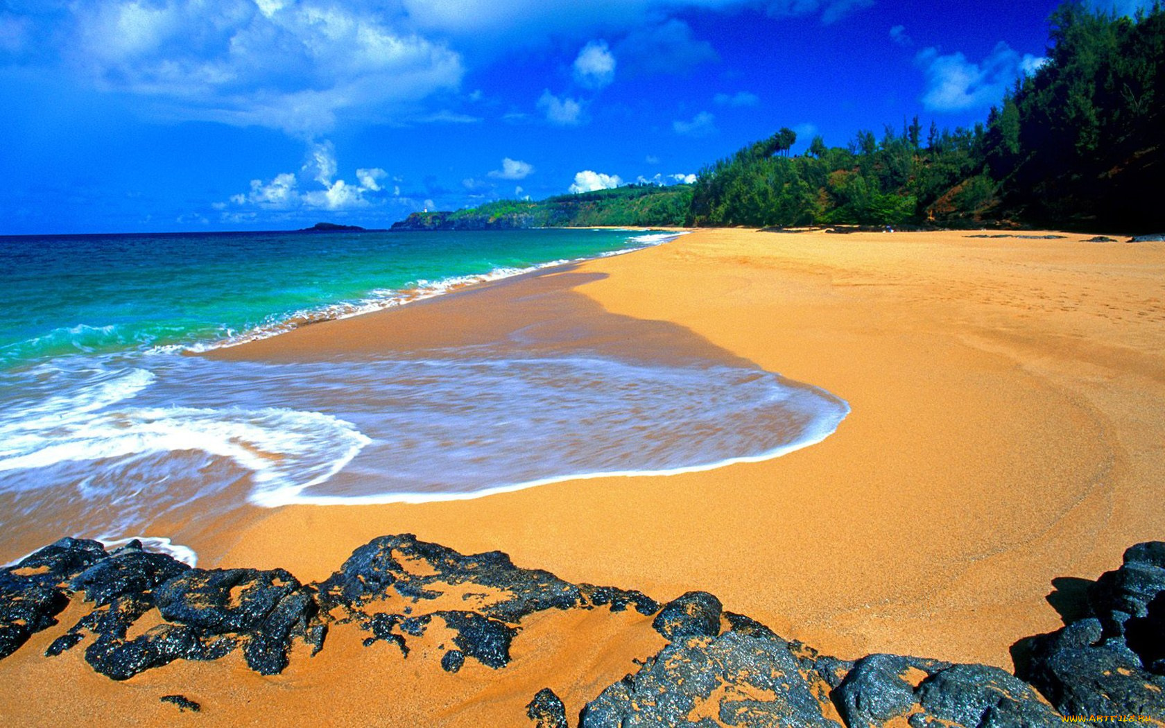 Beach Shade, Moloaa, Kauai, Hawaii бесплатно