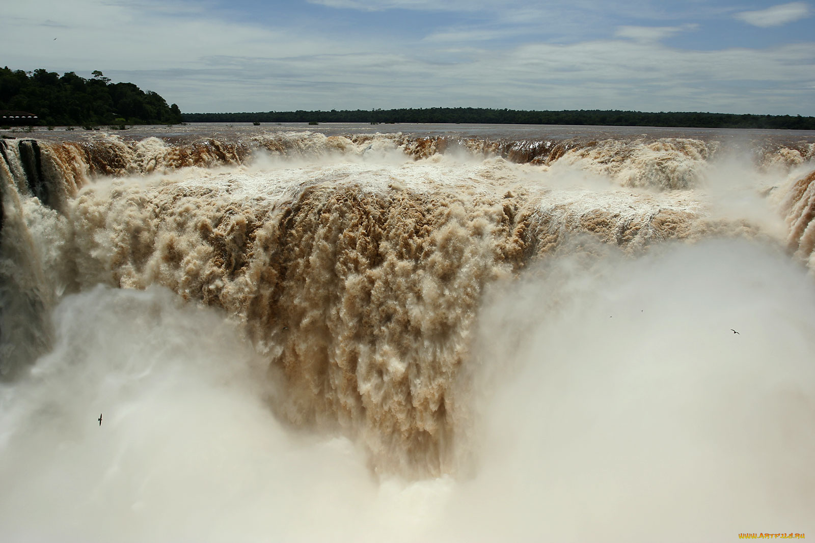 iguazu, falls, природа, водопады, поток, воды, птицы