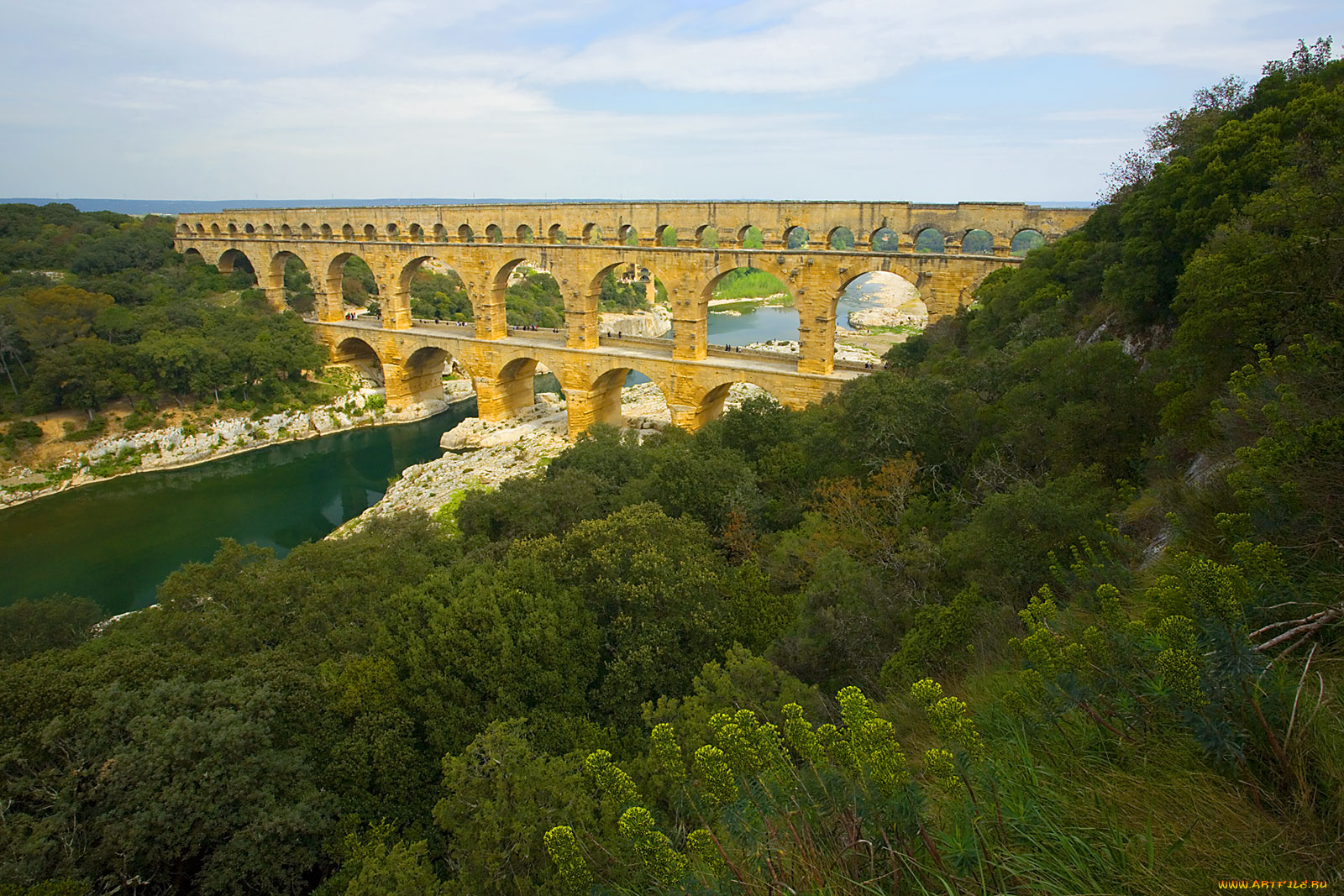 pond, du, gard, avignon, provence, природа, реки, озера, река, кусты, мост