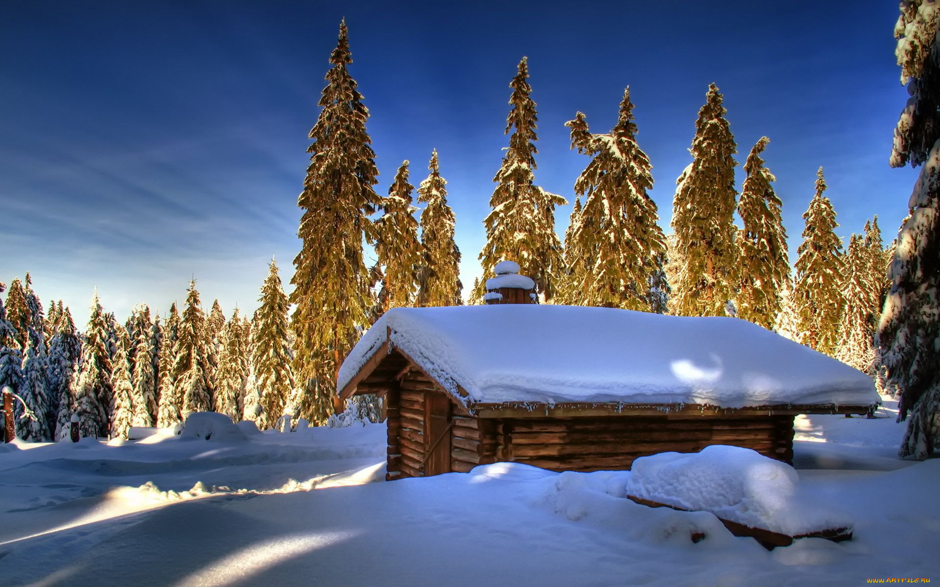 природа, зима, лес, деревья, опушка, избушка, снег