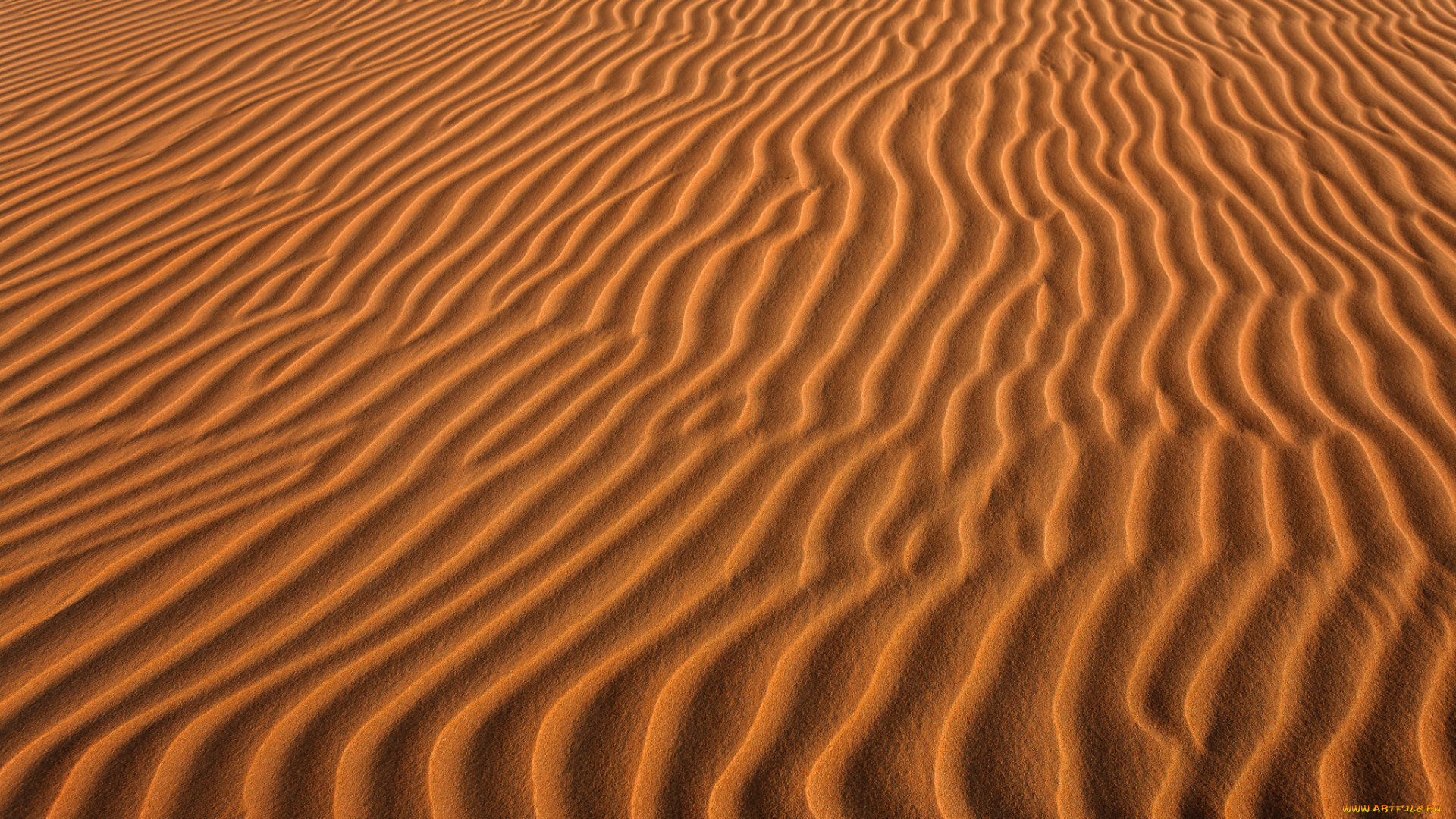 природа, пустыни, пустыня, песок, волны