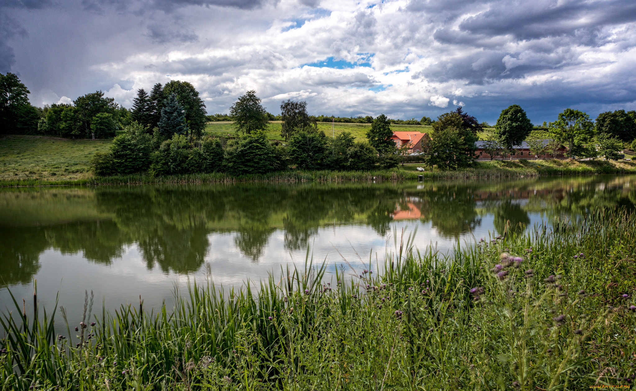 природа, реки, озера, река, трава, деревья, тучи