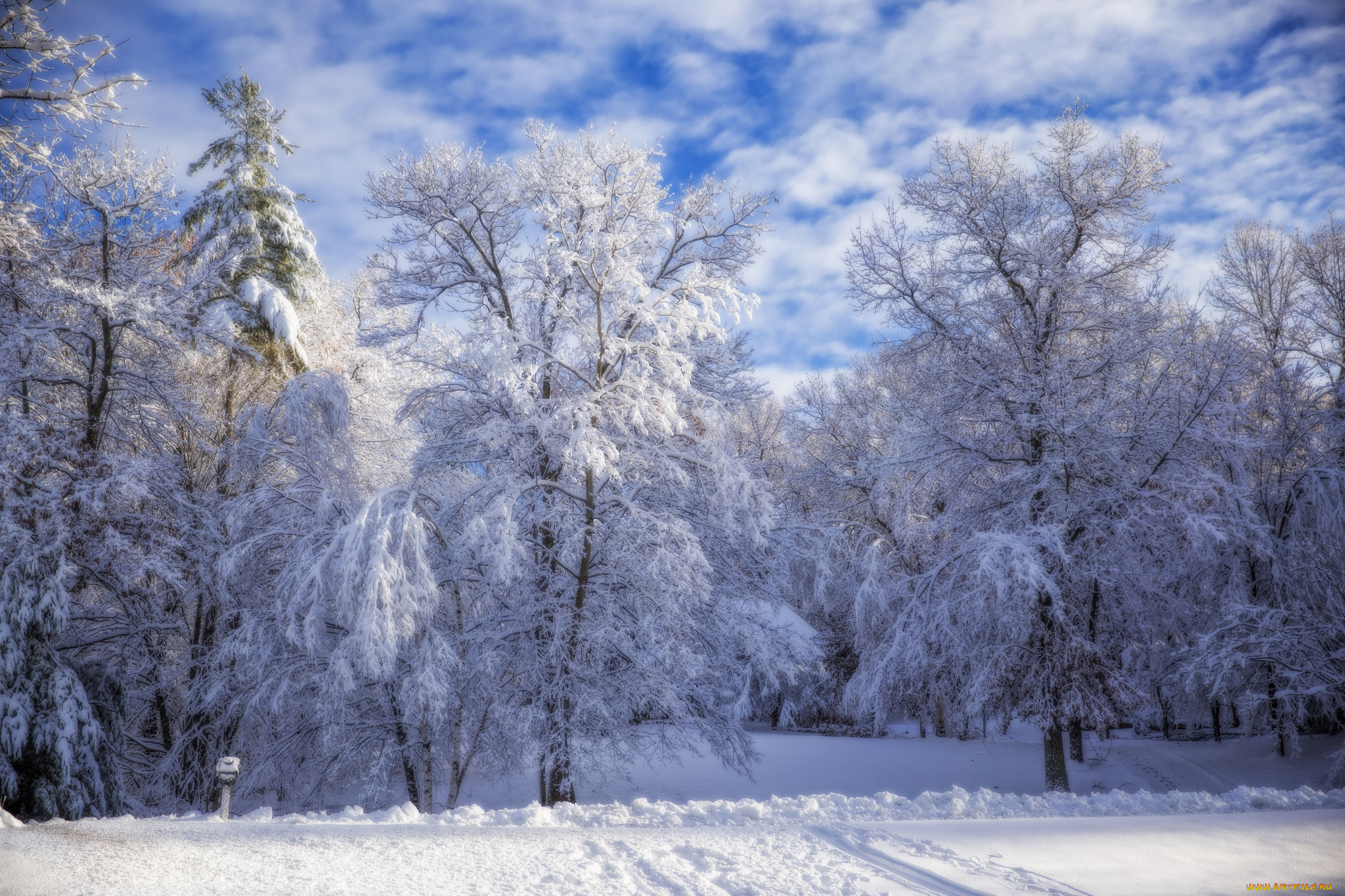 природа, зима, снег, деревья, облака
