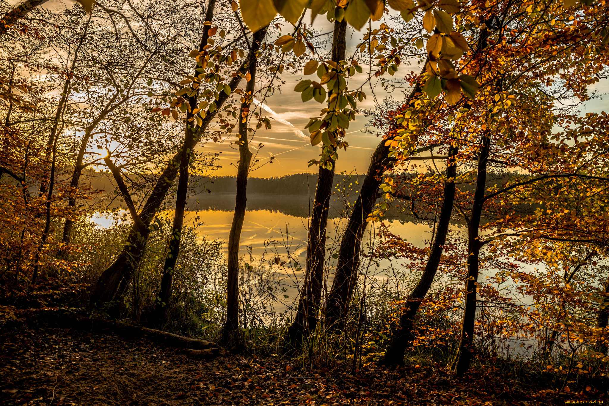 озеро осень лес деревья без смс