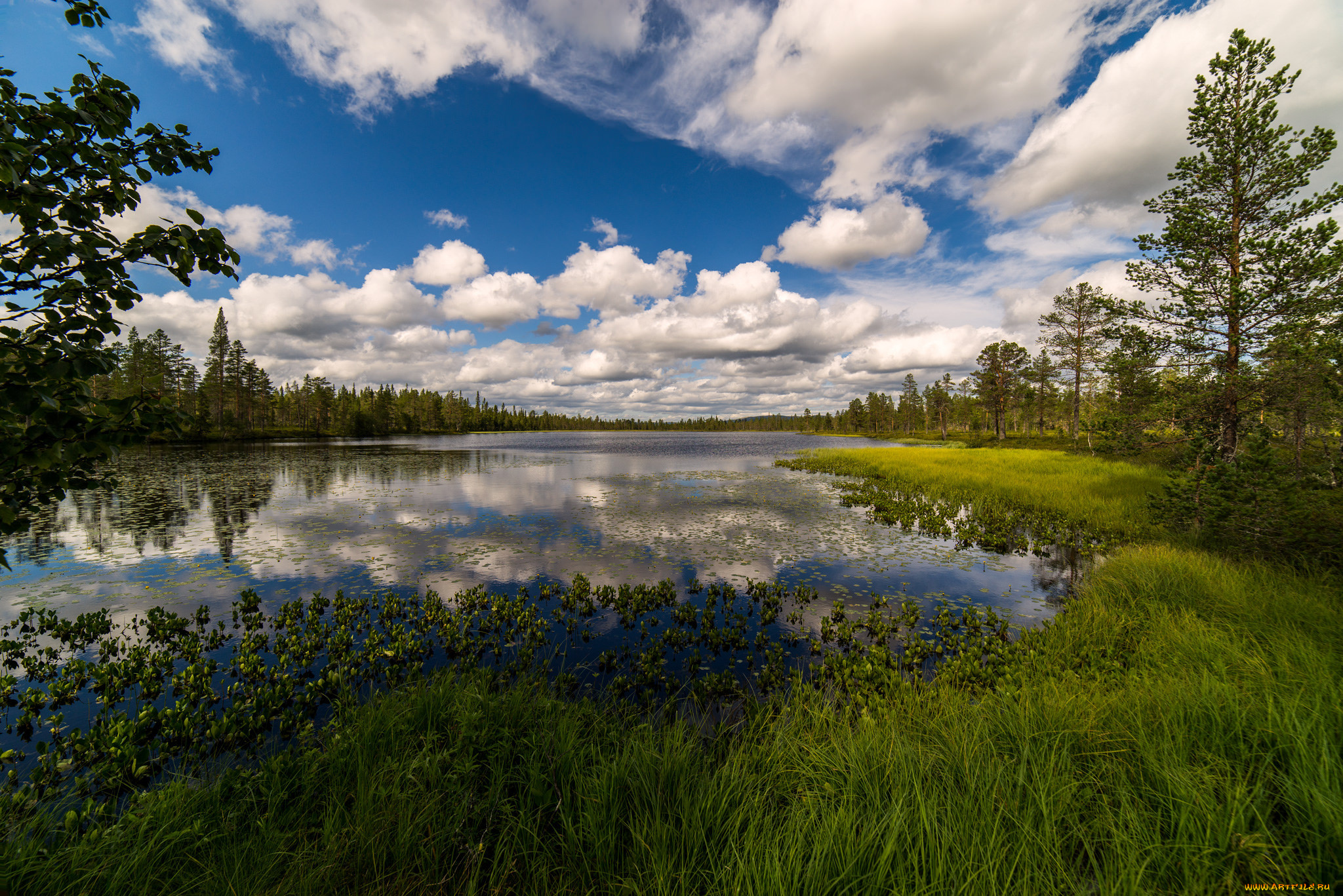 Местоположение и природа. Пейзажи природы. Пейзажи России. Русская природа. Озеро в лесу.