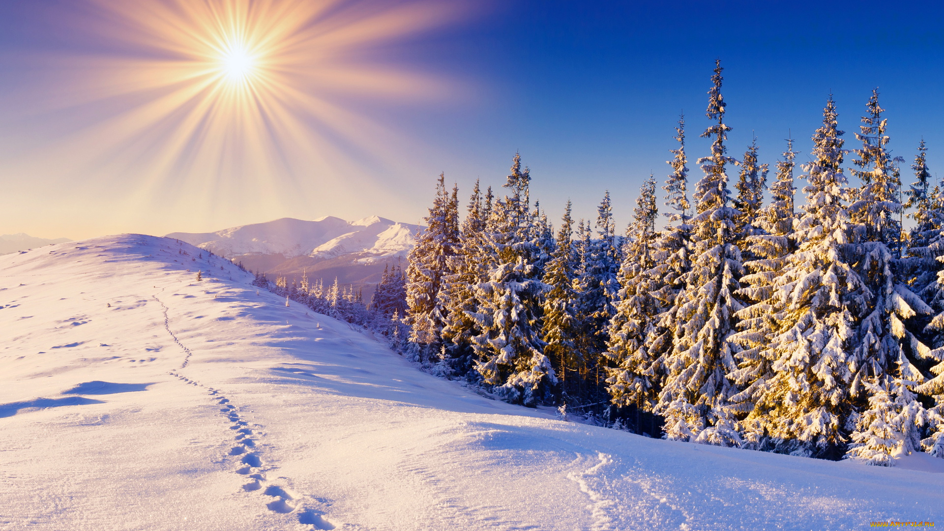 природа, зима, небо, горы, следы, деревья, солнце, снег, лес
