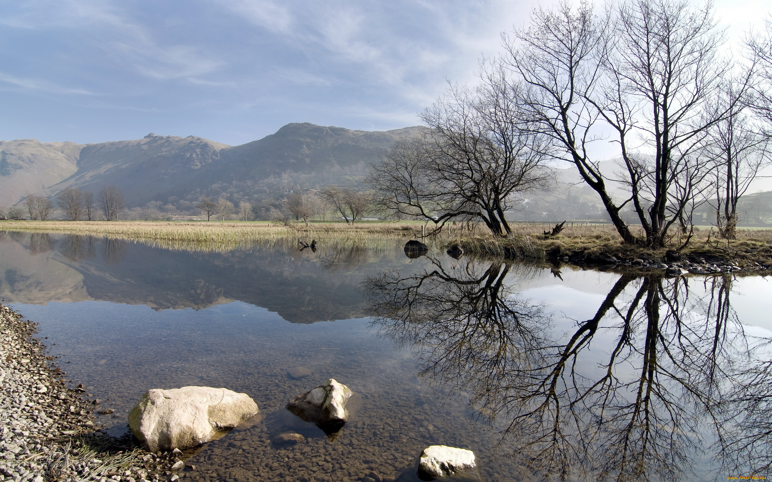 природа, реки, озера, река