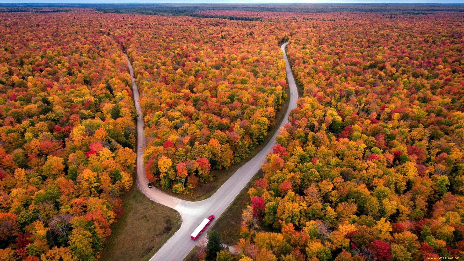 природа, дороги, лес, шоссе, панорама, осень
