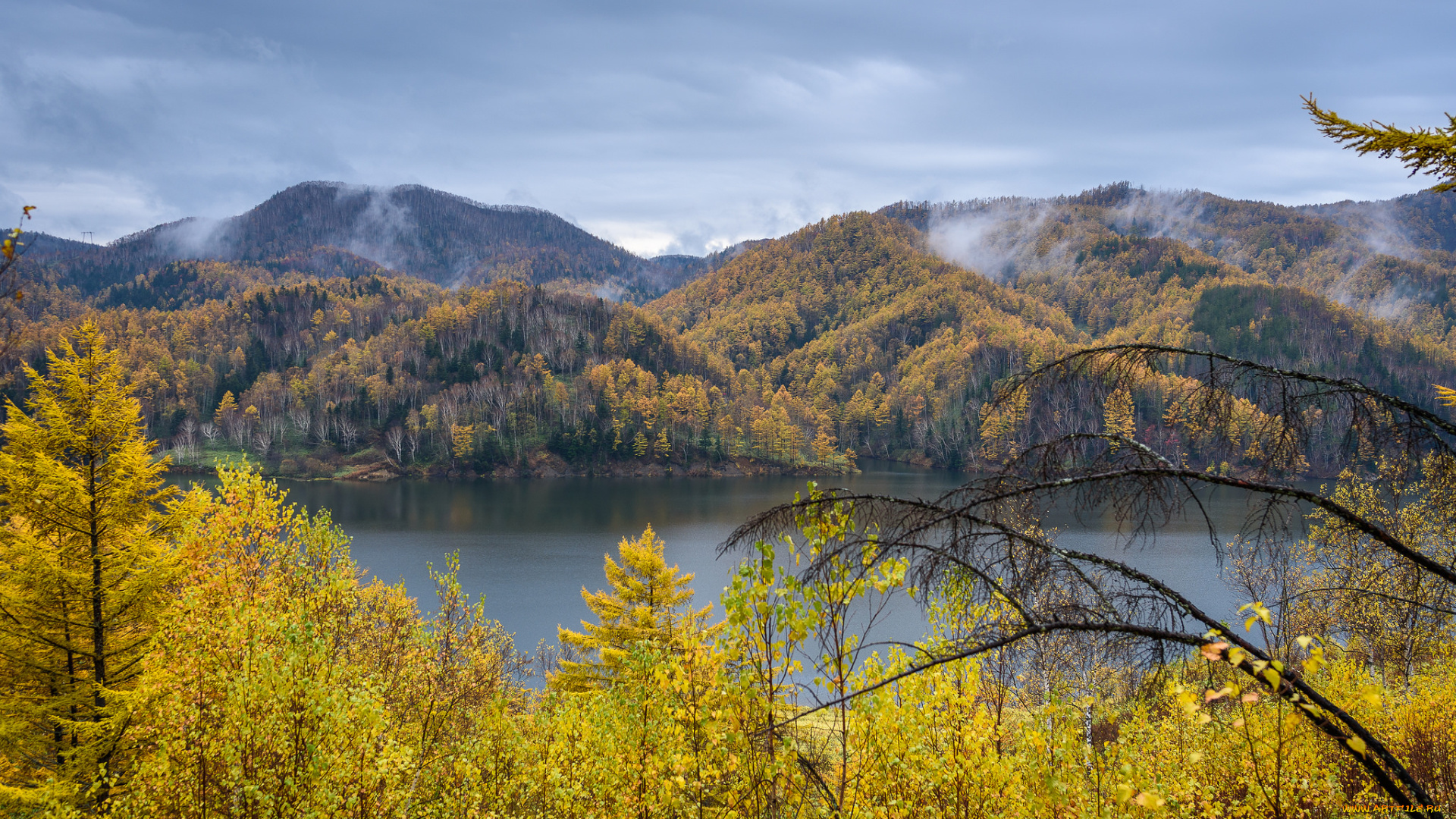 природа, реки, озера, простор