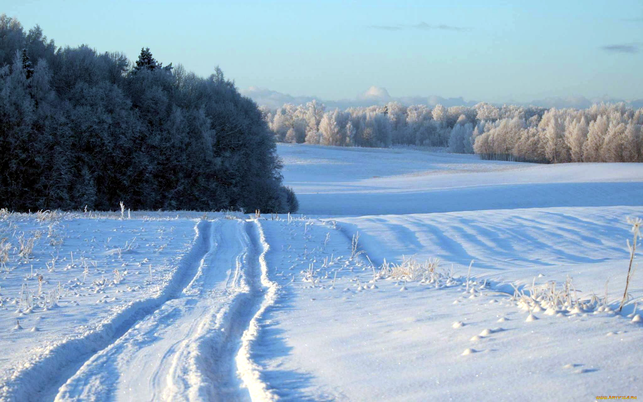 природа, зима, снег, дорога