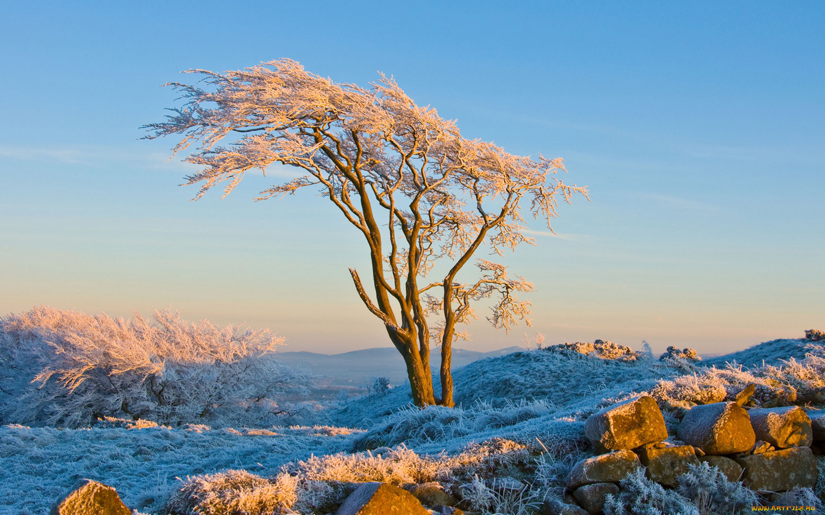 природа, зима, снег, камни, дерево