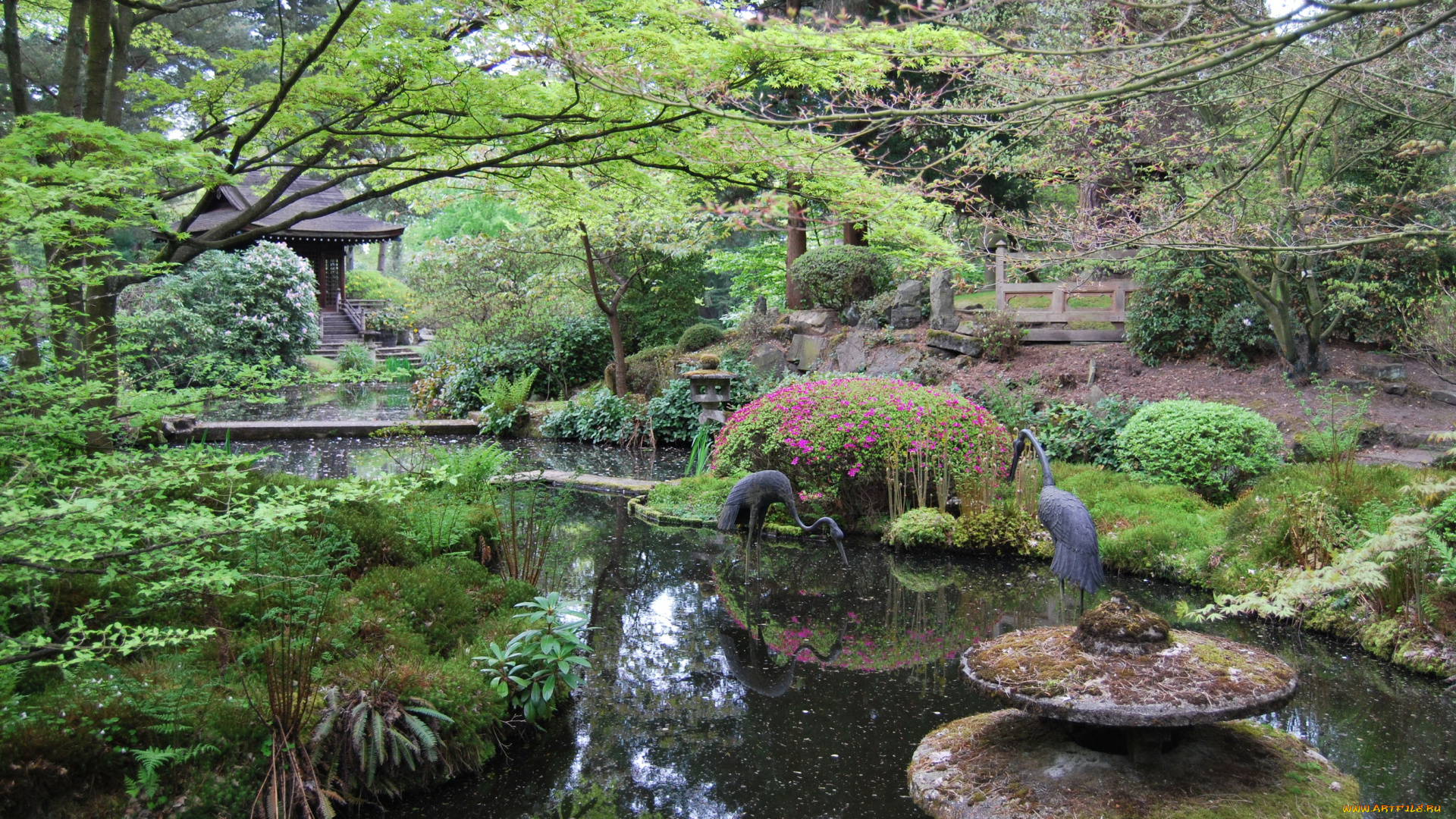 англия, натсфорд, японский, сад, природа, парк