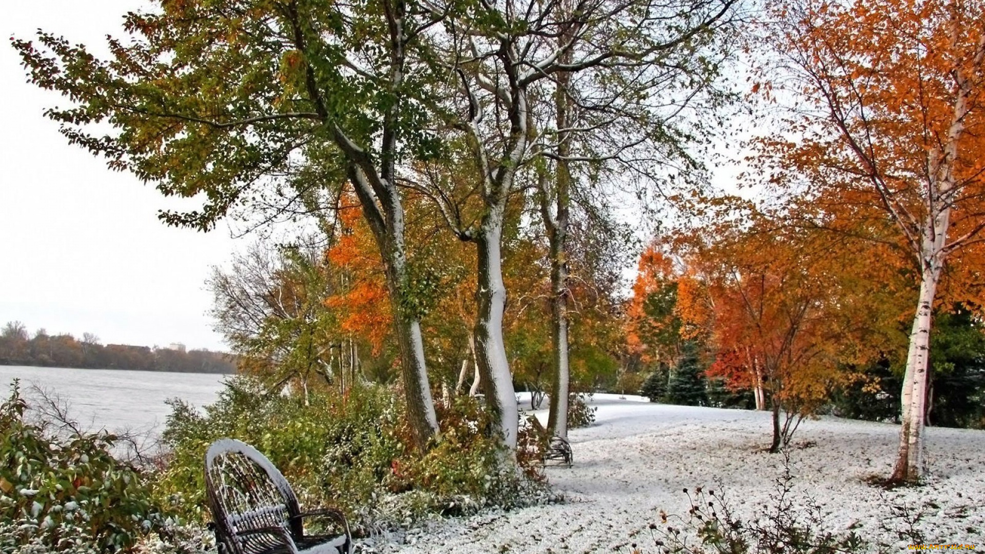 природа, парк, снег, зима, желтая, листва, лес