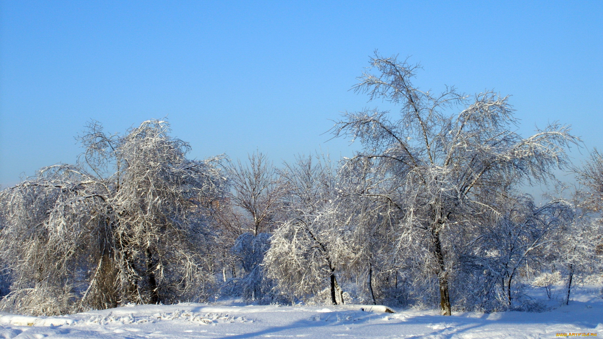 природа, зима, снег