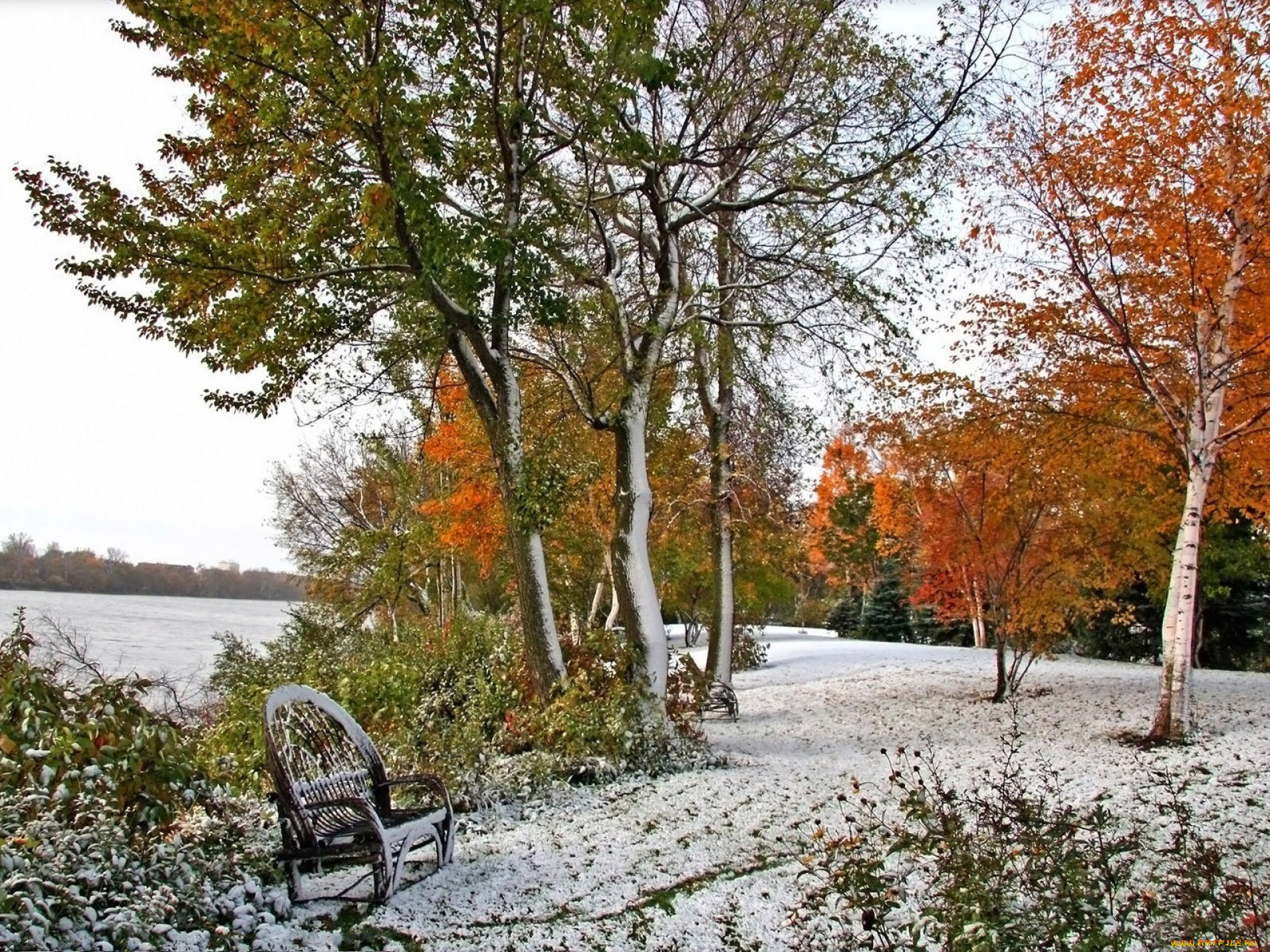 природа, парк, снег, зима, желтая, листва, лес