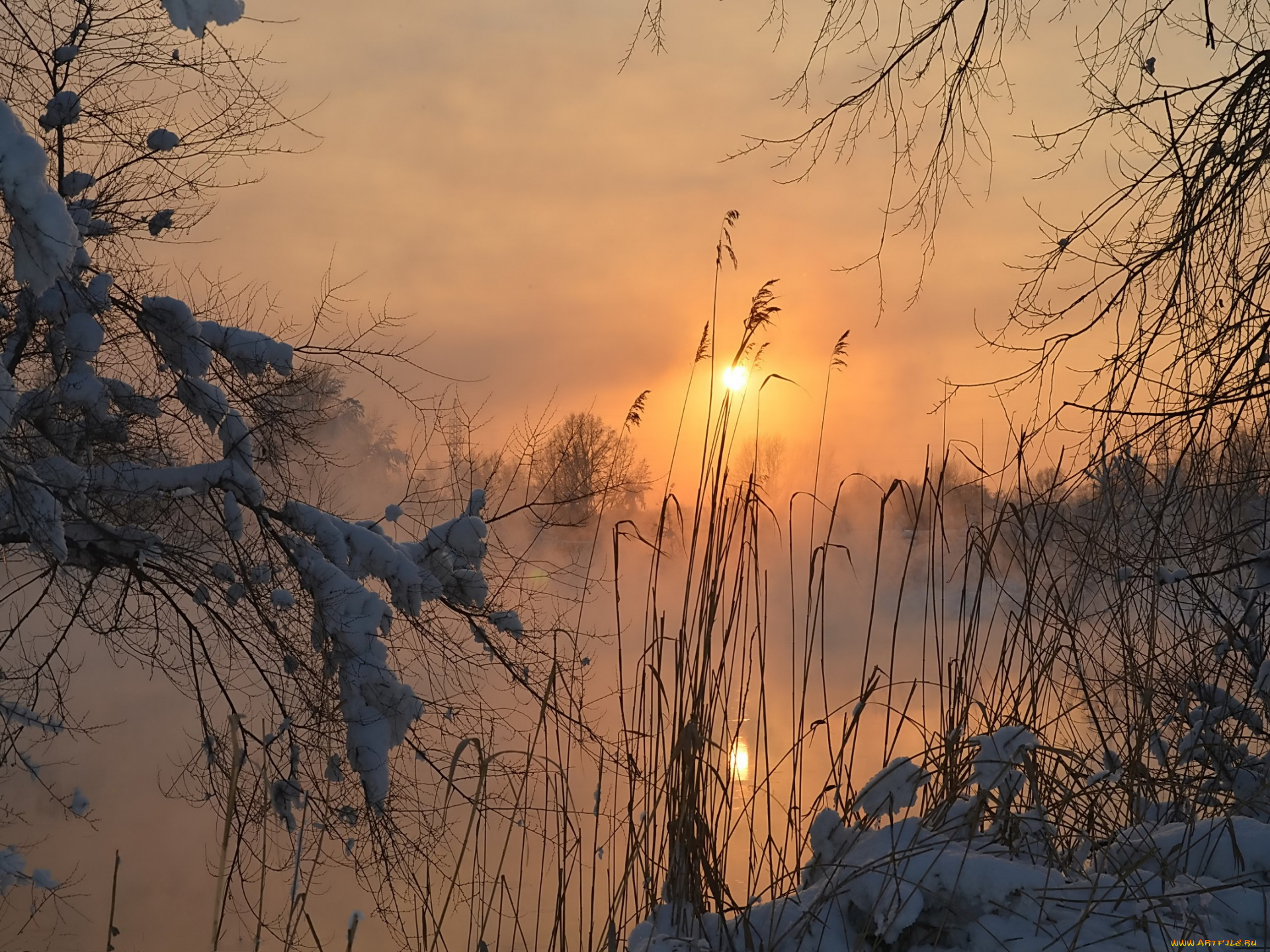 природа, зима, вечер, солнце, снег, лес