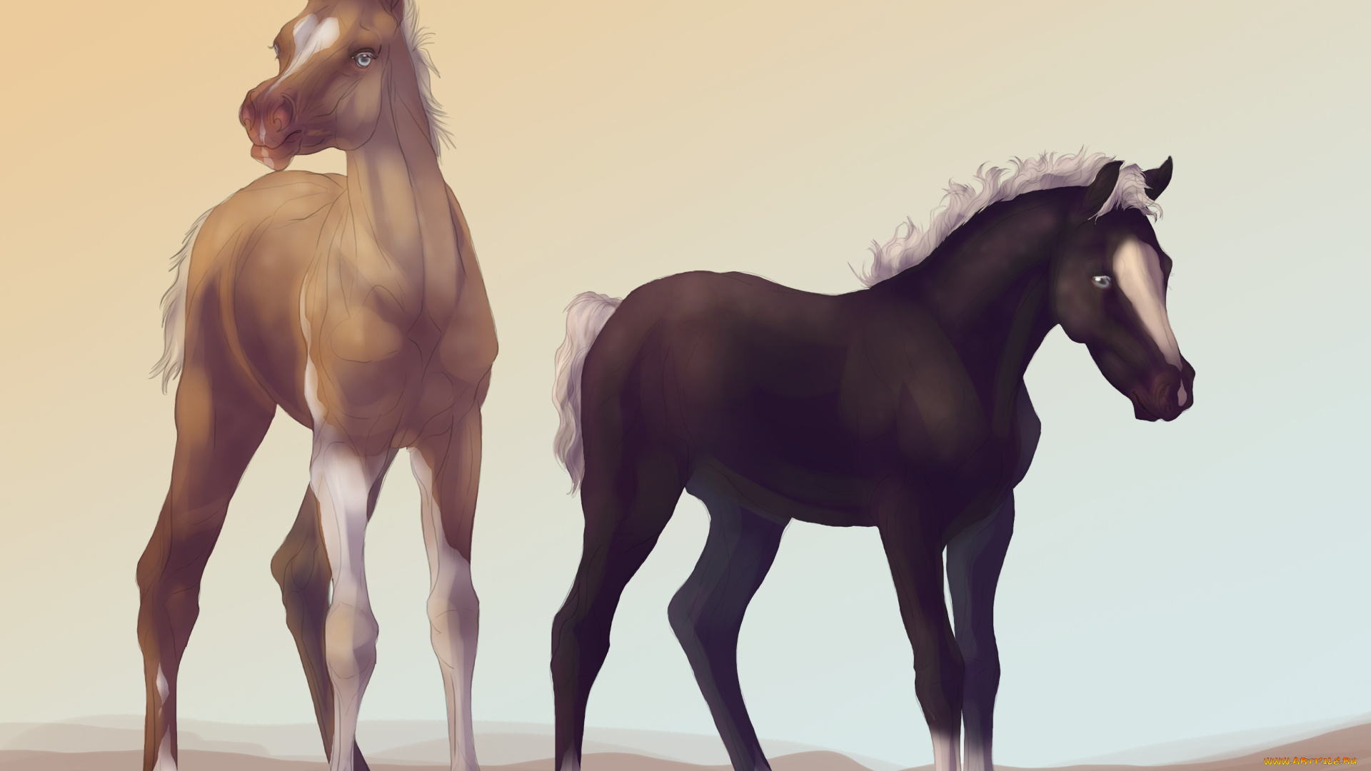 рисованные, животные, , лошади, лошадки