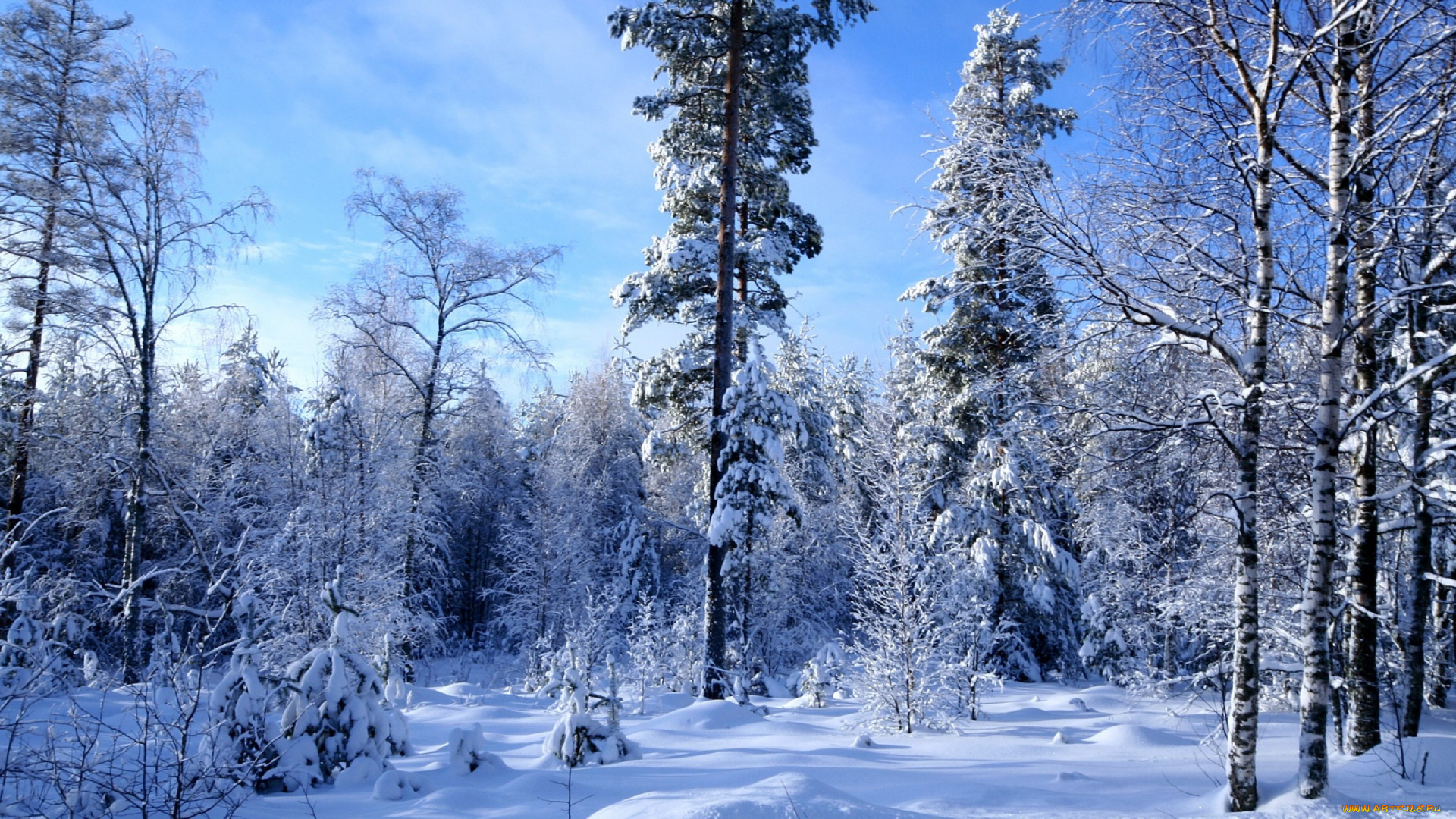 природа, зима, небо, деревья, снег