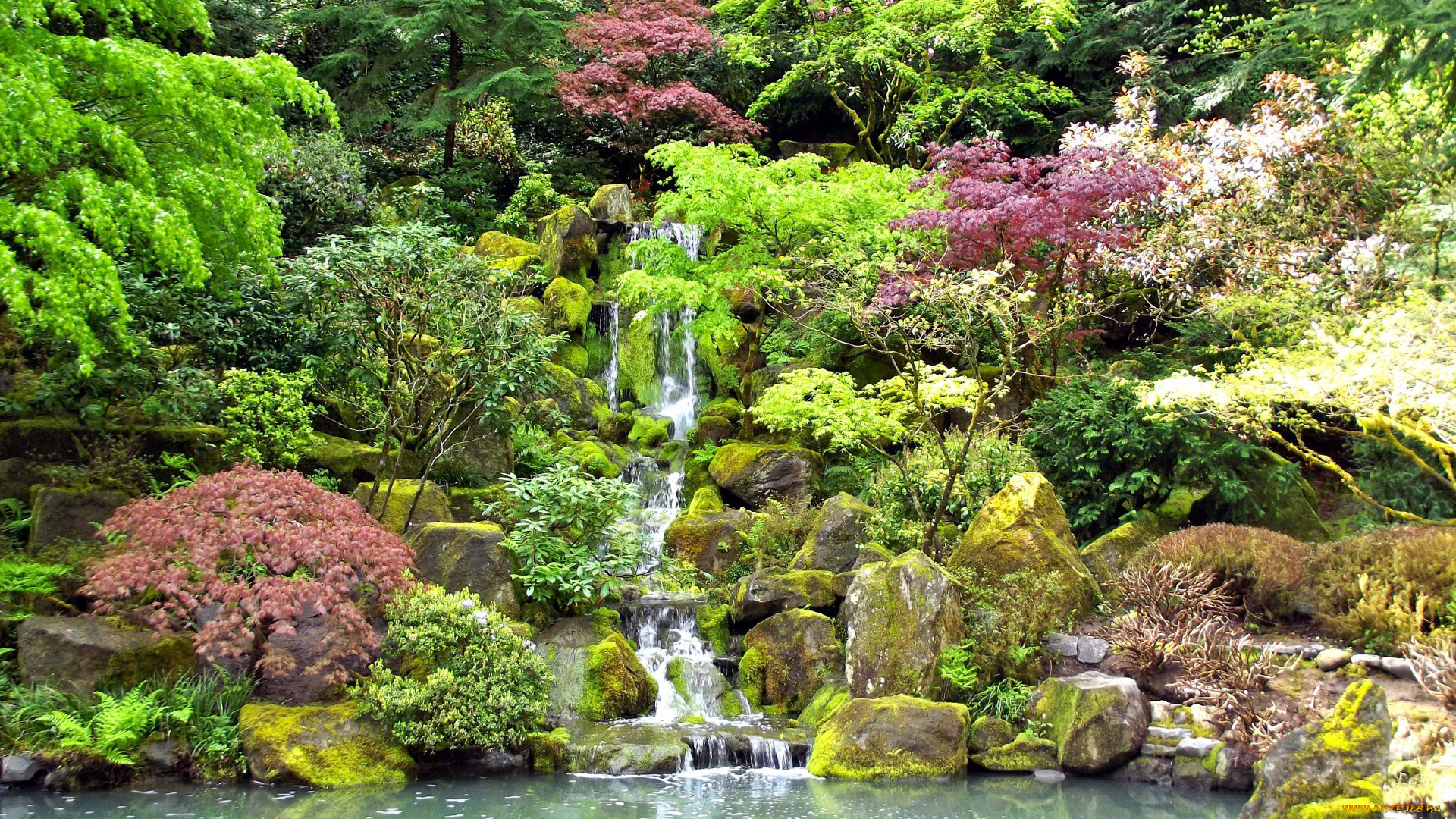природа, парк, камни, водопад, деревья, кусты, водоем