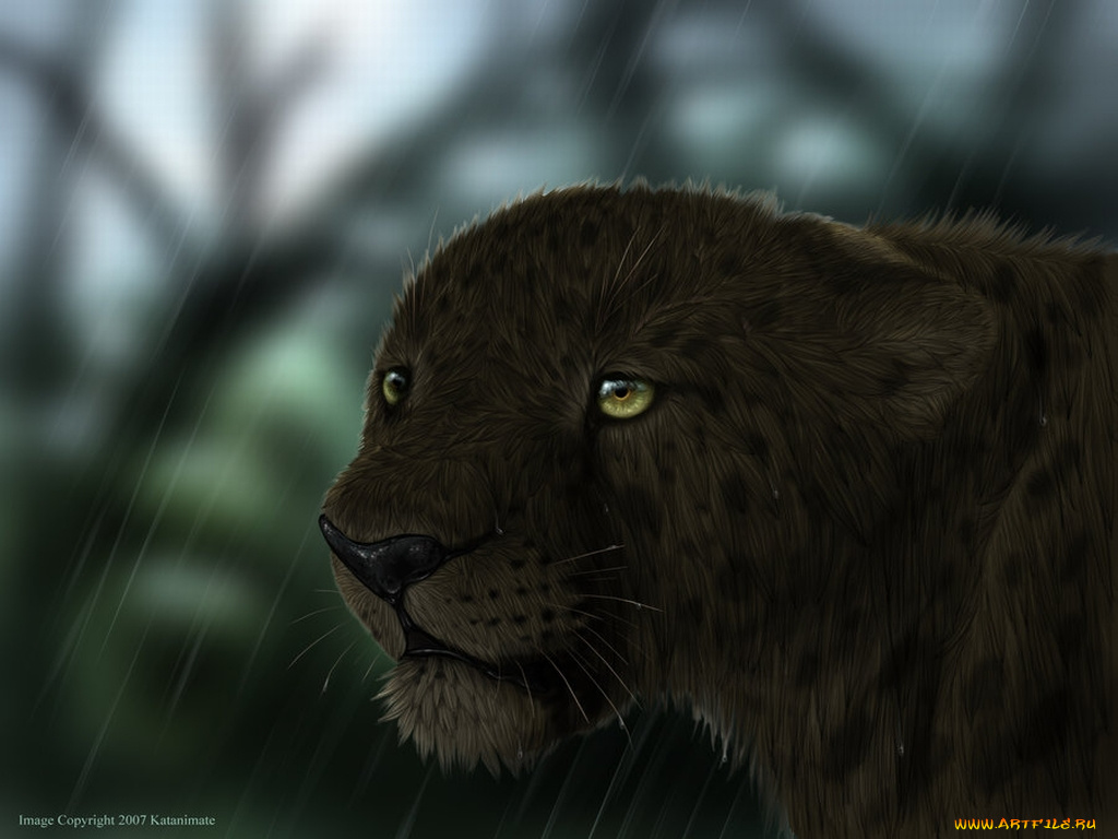 black, rain, by, katanimate, рисованные, животные, ягуары, леопарды