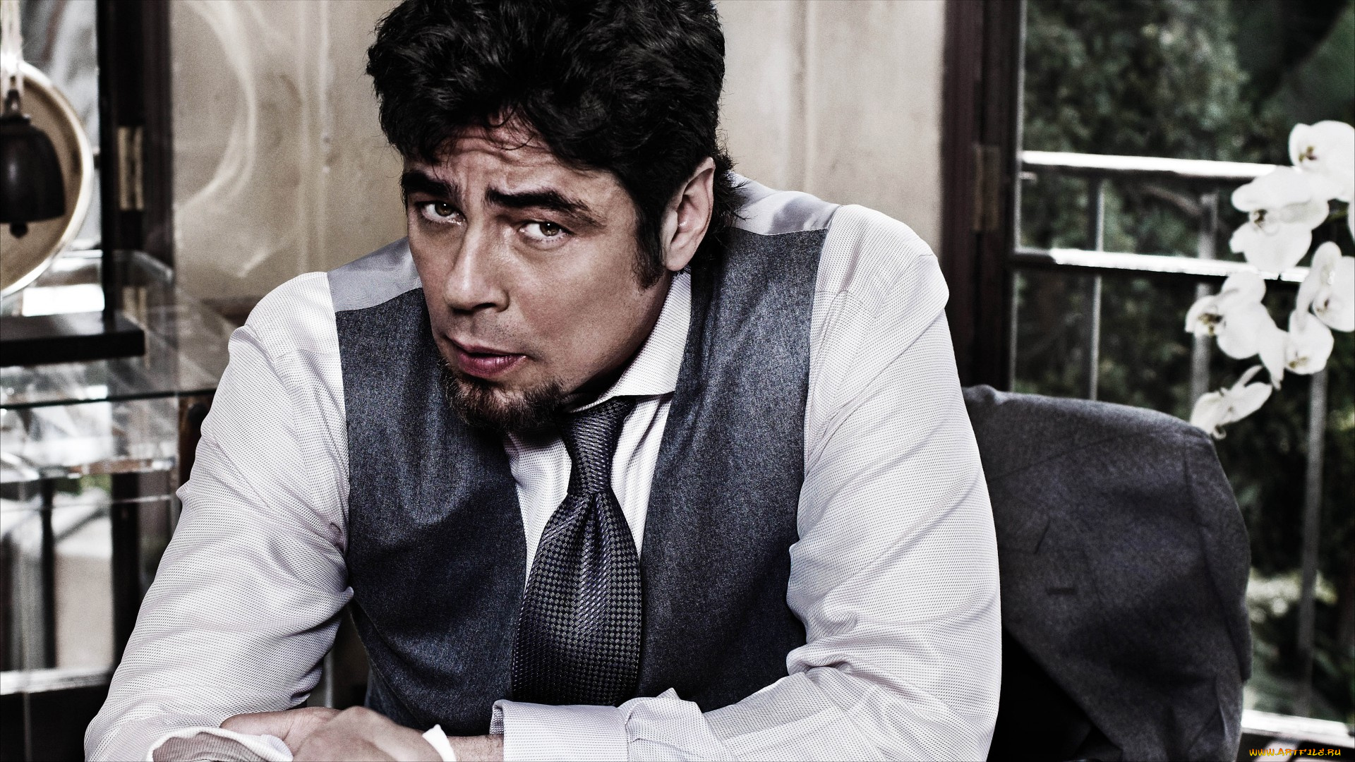 benicio, del, toro, мужчины, бенисио, дель, торо, актёр, кинопродюсер, сша, испания