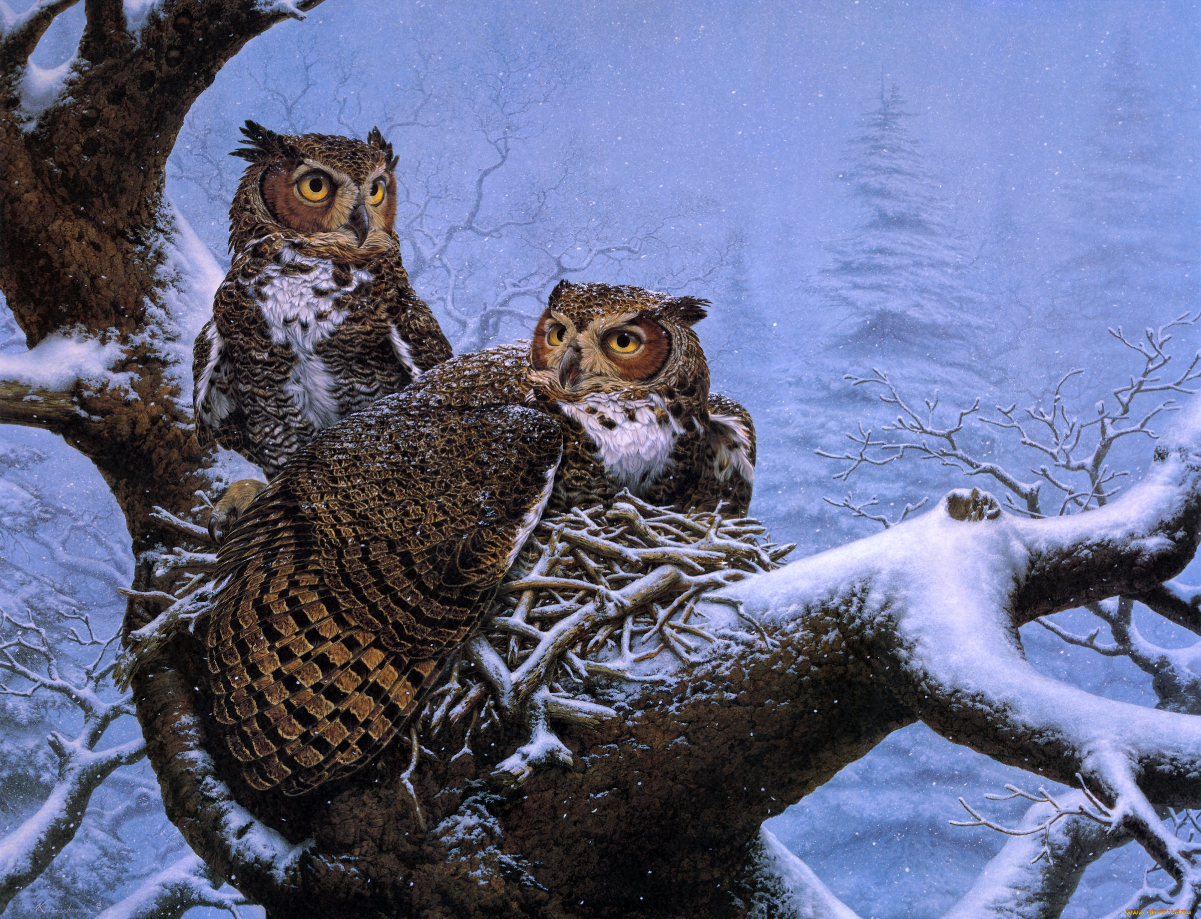 природа животные птицы деревья зима снег скачать