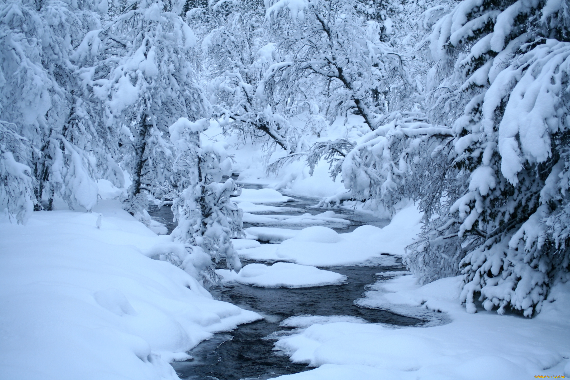 природа, зима, снег, вода