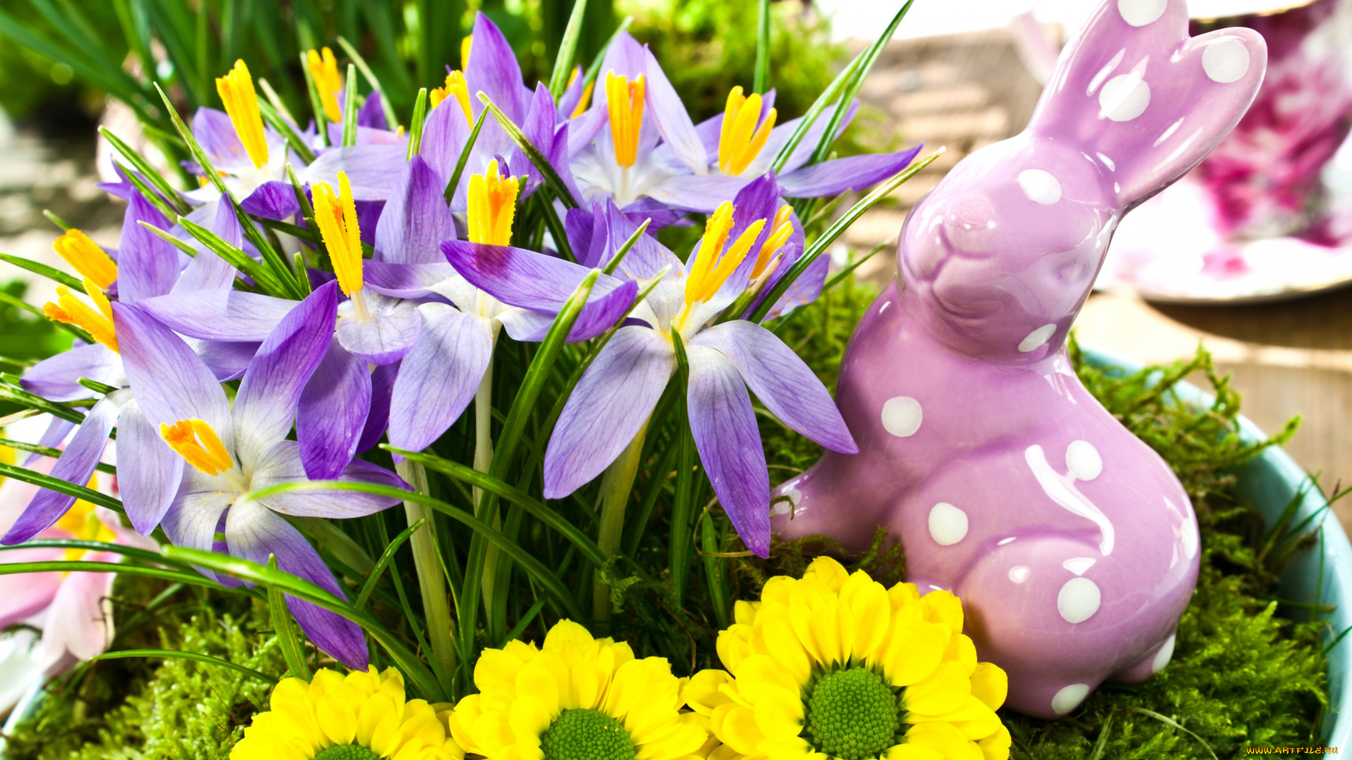 цветы, разные, вместе, желтые, крокусы, фиолетовые, кролик, статуэтка, весна, праздники, пасха