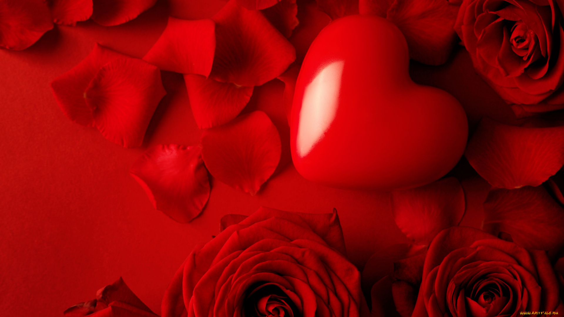 праздничные, день, святого, валентина, , сердечки, , любовь, цветы, розы, любовь, лепестки, valentine's, day