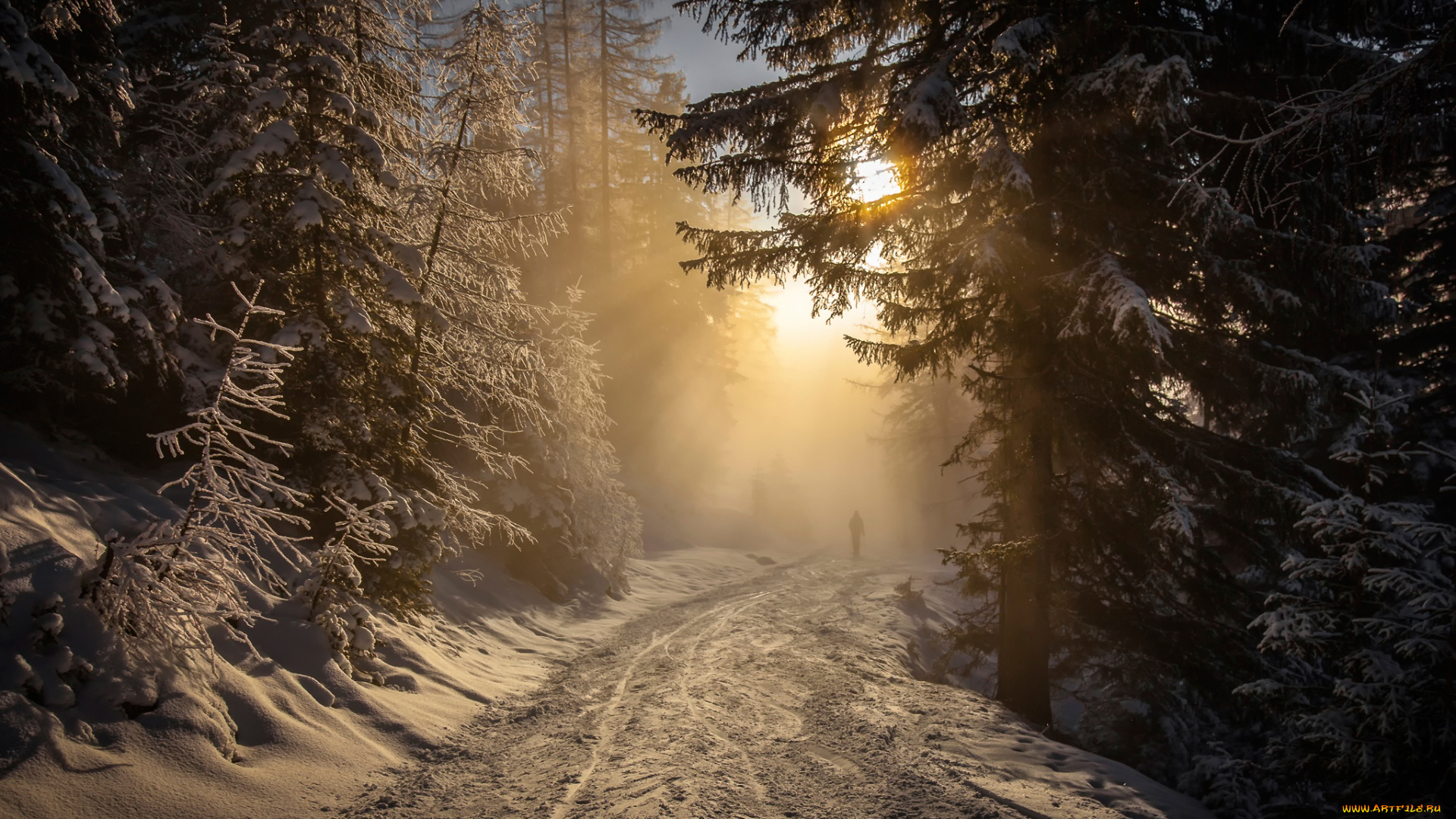 природа, дороги, солнце, дорога, снег, лес