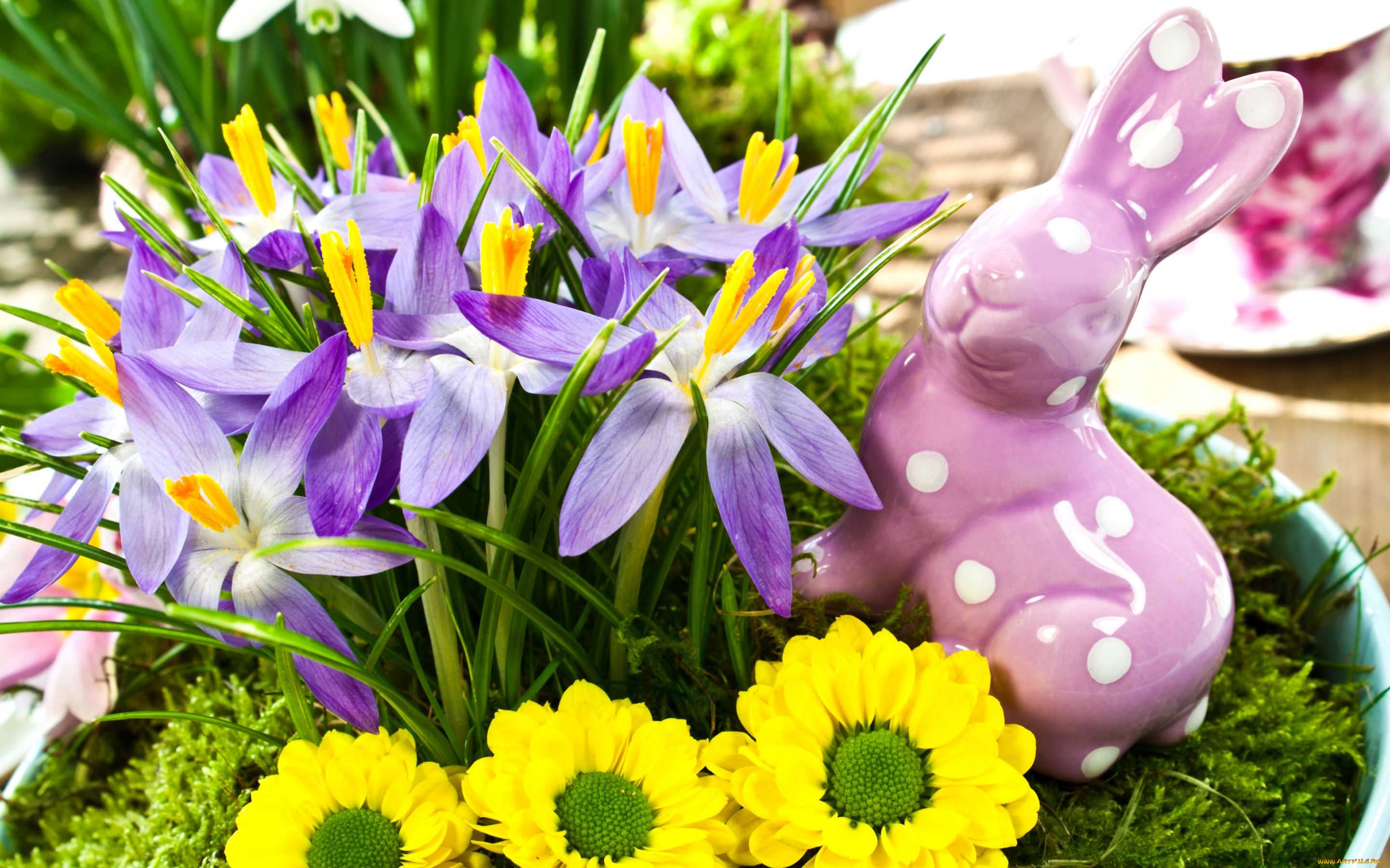 цветы, разные, вместе, желтые, крокусы, фиолетовые, кролик, статуэтка, весна, праздники, пасха