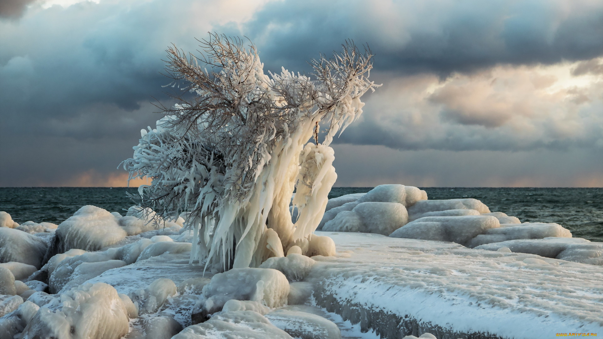 природа, зима, лёд, дерево, море
