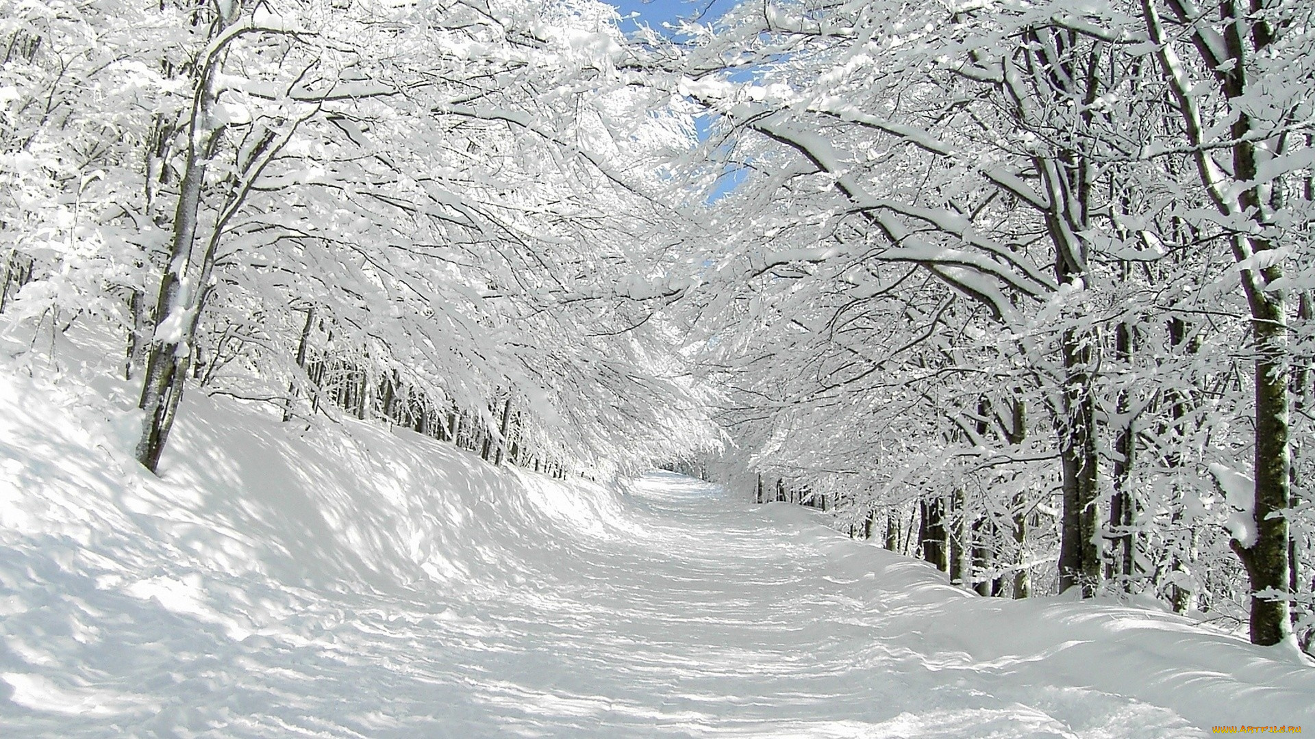 природа, дороги, деревья, снег