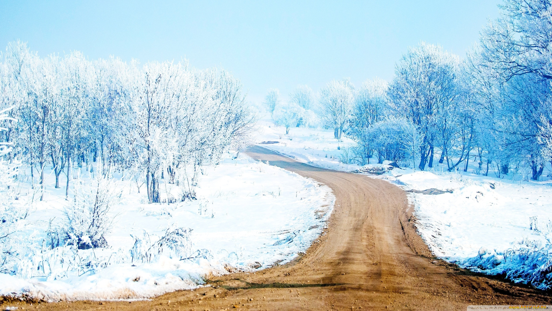 природа, дороги, зимняя, дорога, лес, снег