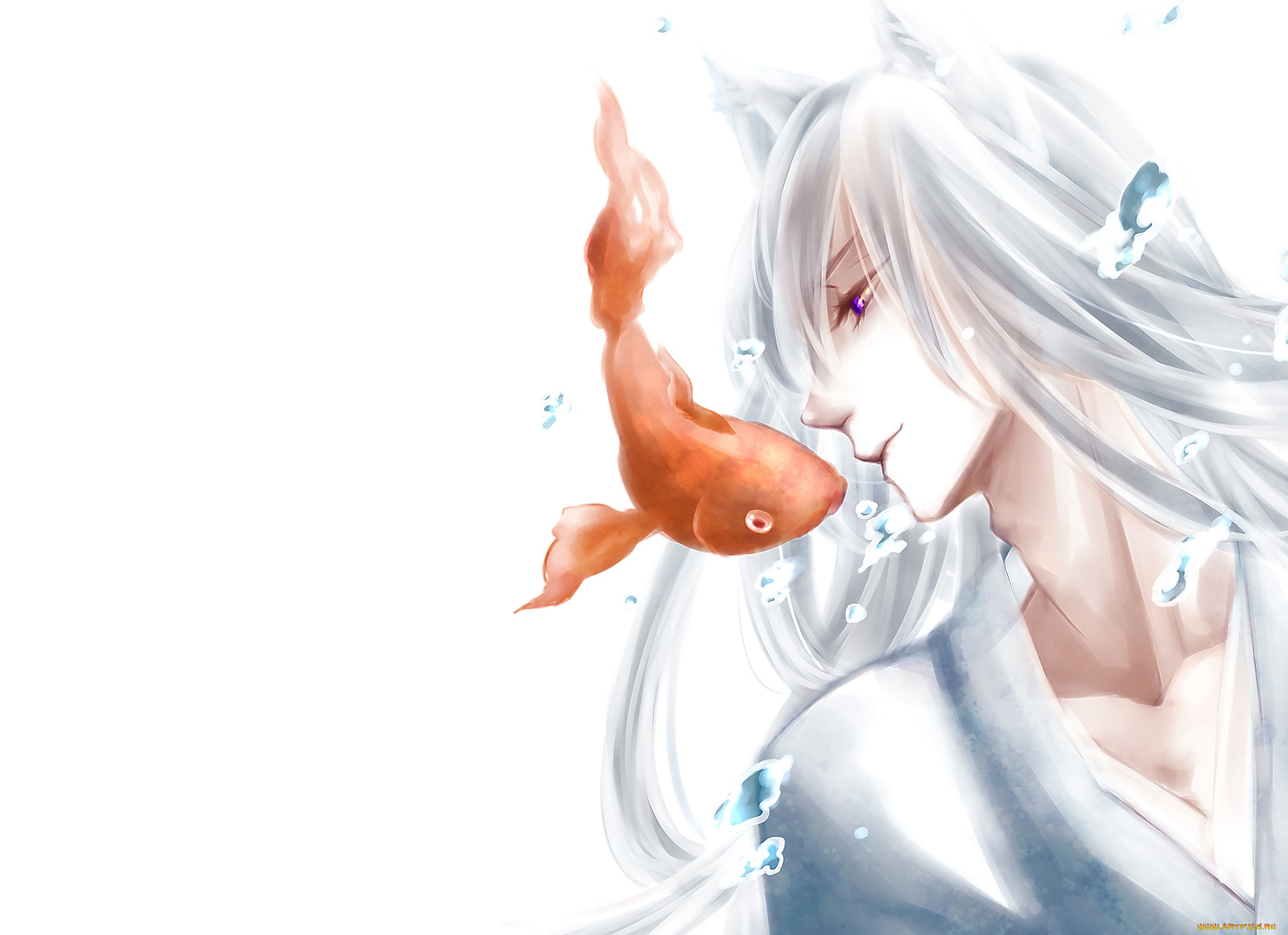 аниме, kamisama, hajimemashita, tomoe