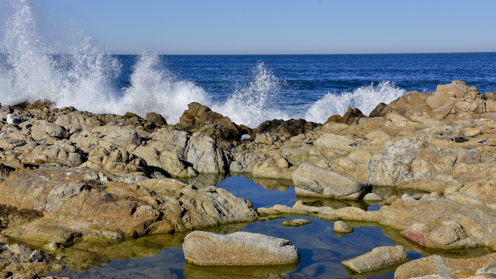 природа, побережье, камни, волны