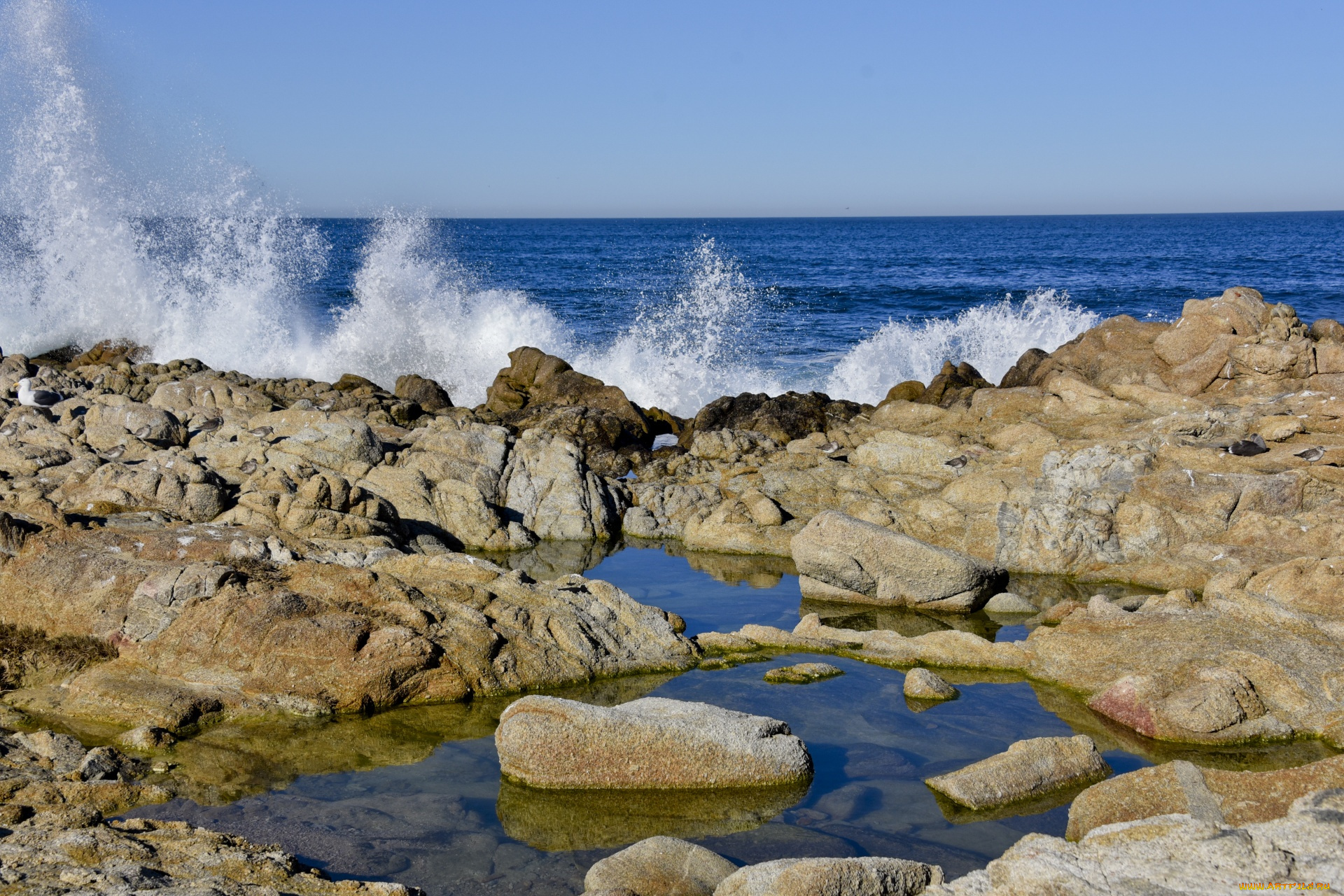 природа, побережье, камни, волны