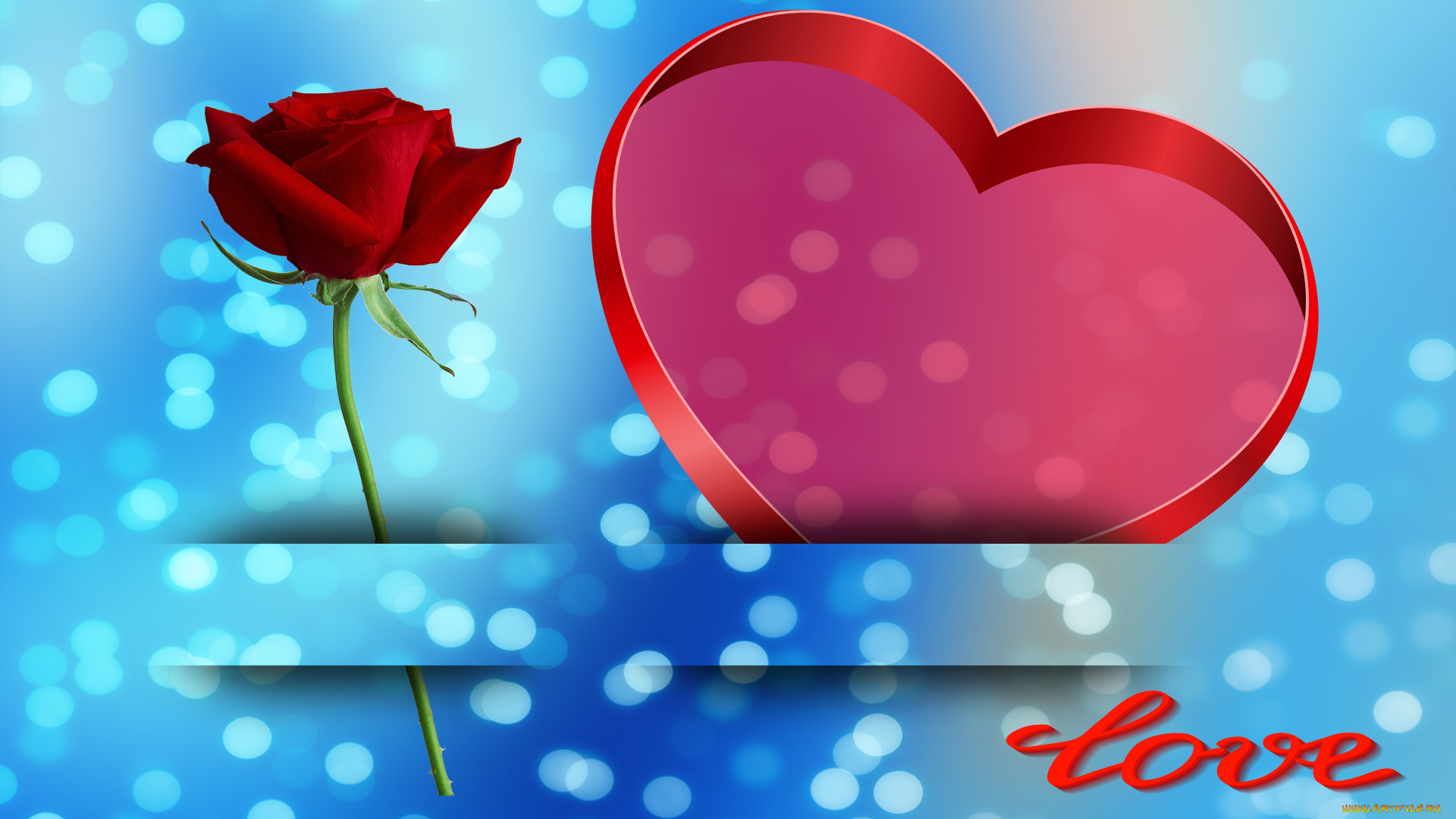 праздничные, день, святого, валентина, , сердечки, , любовь, сердечко, фон, роза