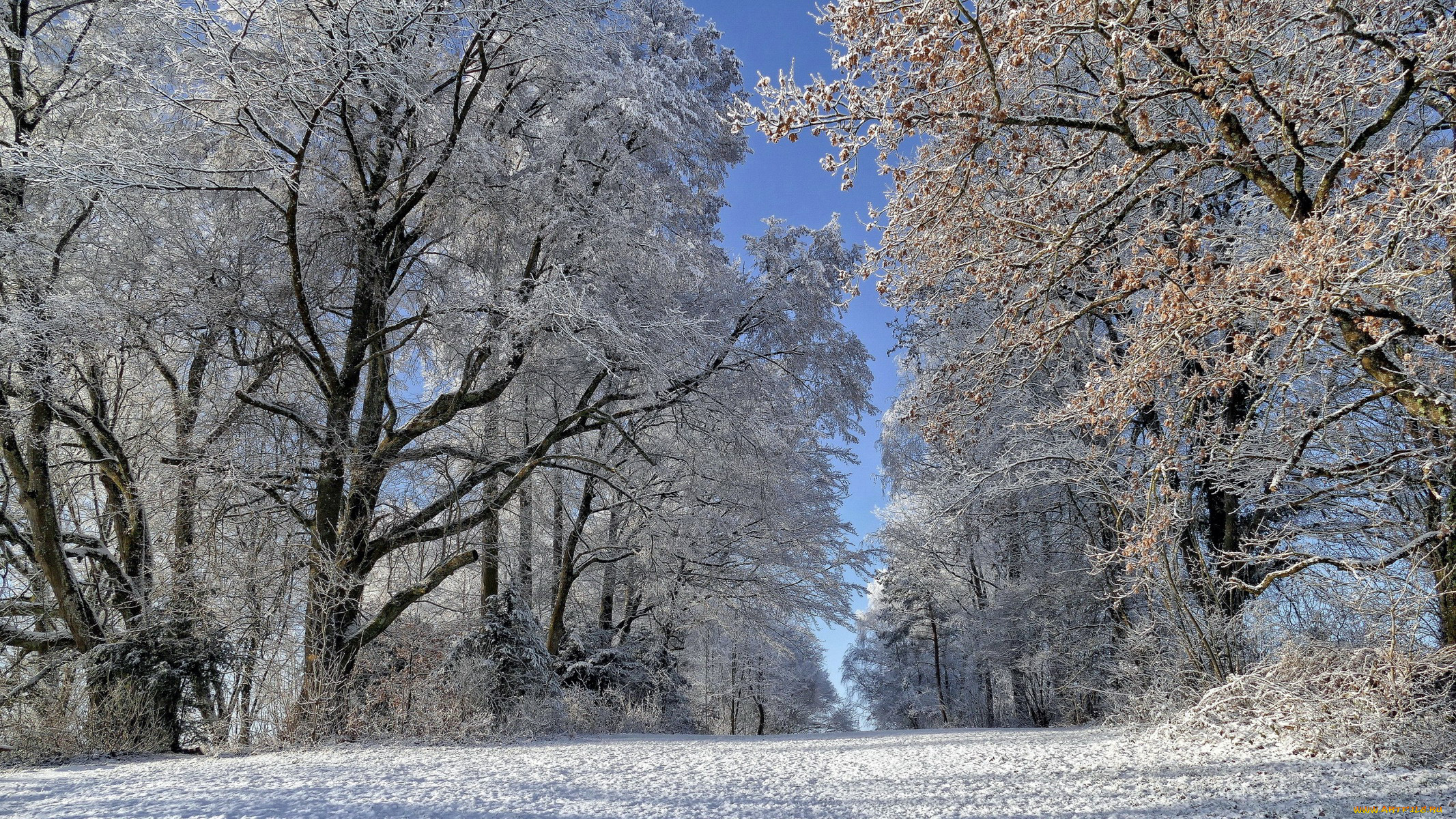 природа, зима, снег, сугробы