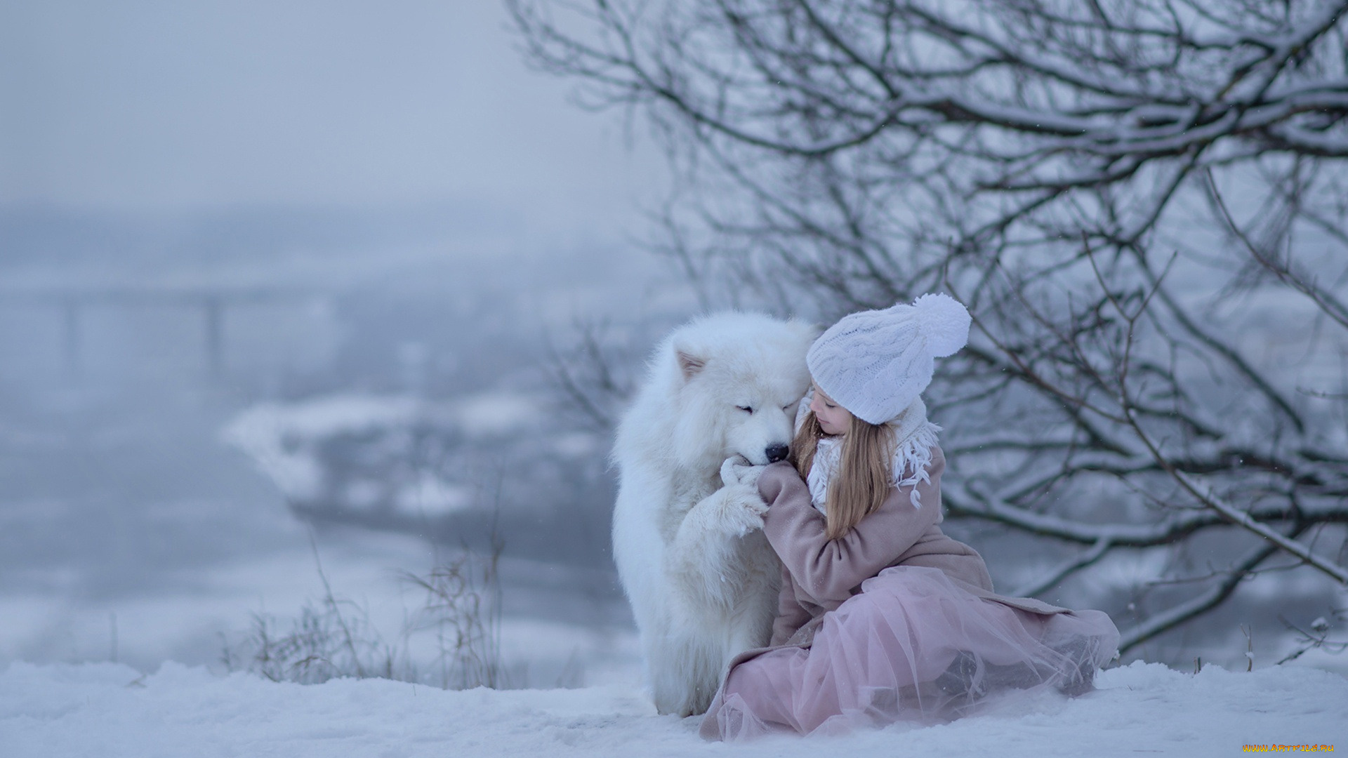 разное, люди, маленькая, девочка, самоедская, собака, снег, зима