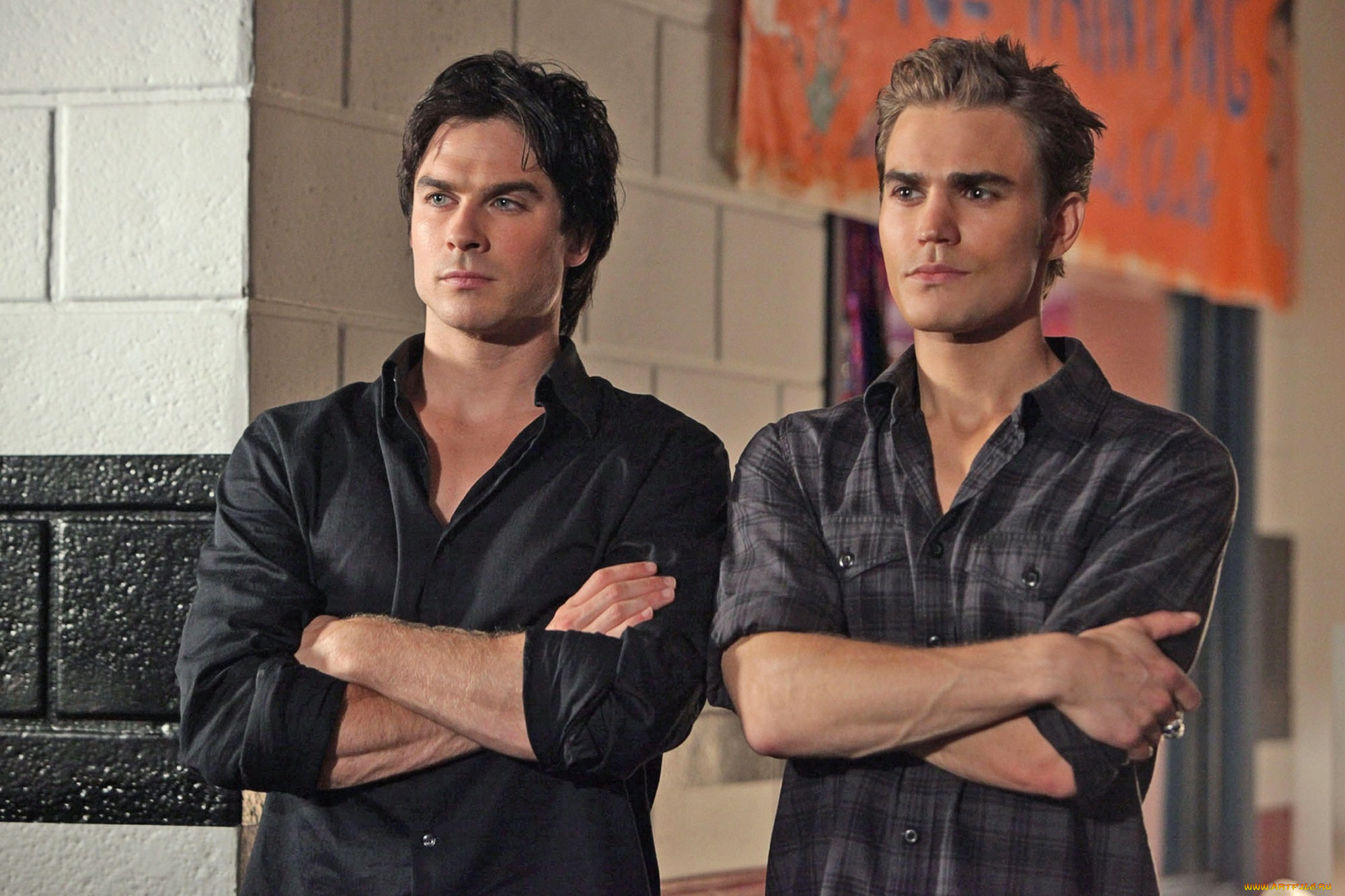 кино, фильмы, the, vampire, diaries, paul, wesley, ian, somerhalder