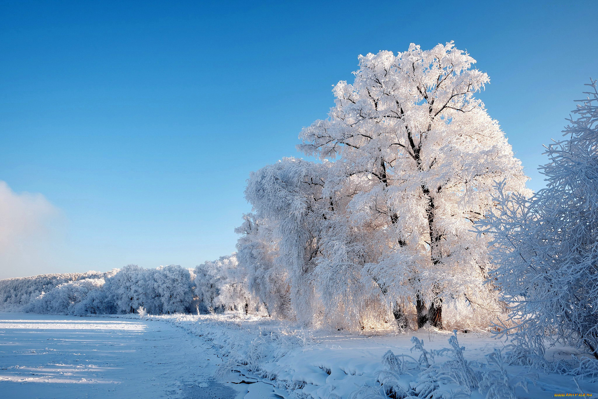 природа, зима, снег, сугробы