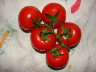 Картинка еда помидоры