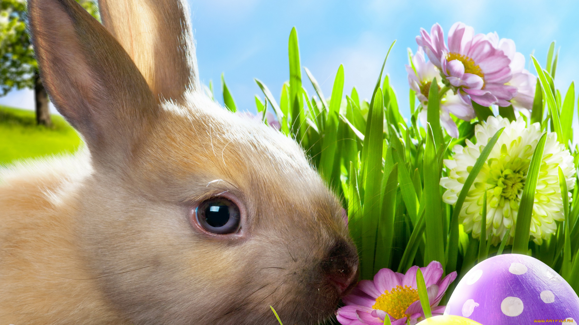 животные, кролики, , зайцы, весна, цветы, яички, кролик